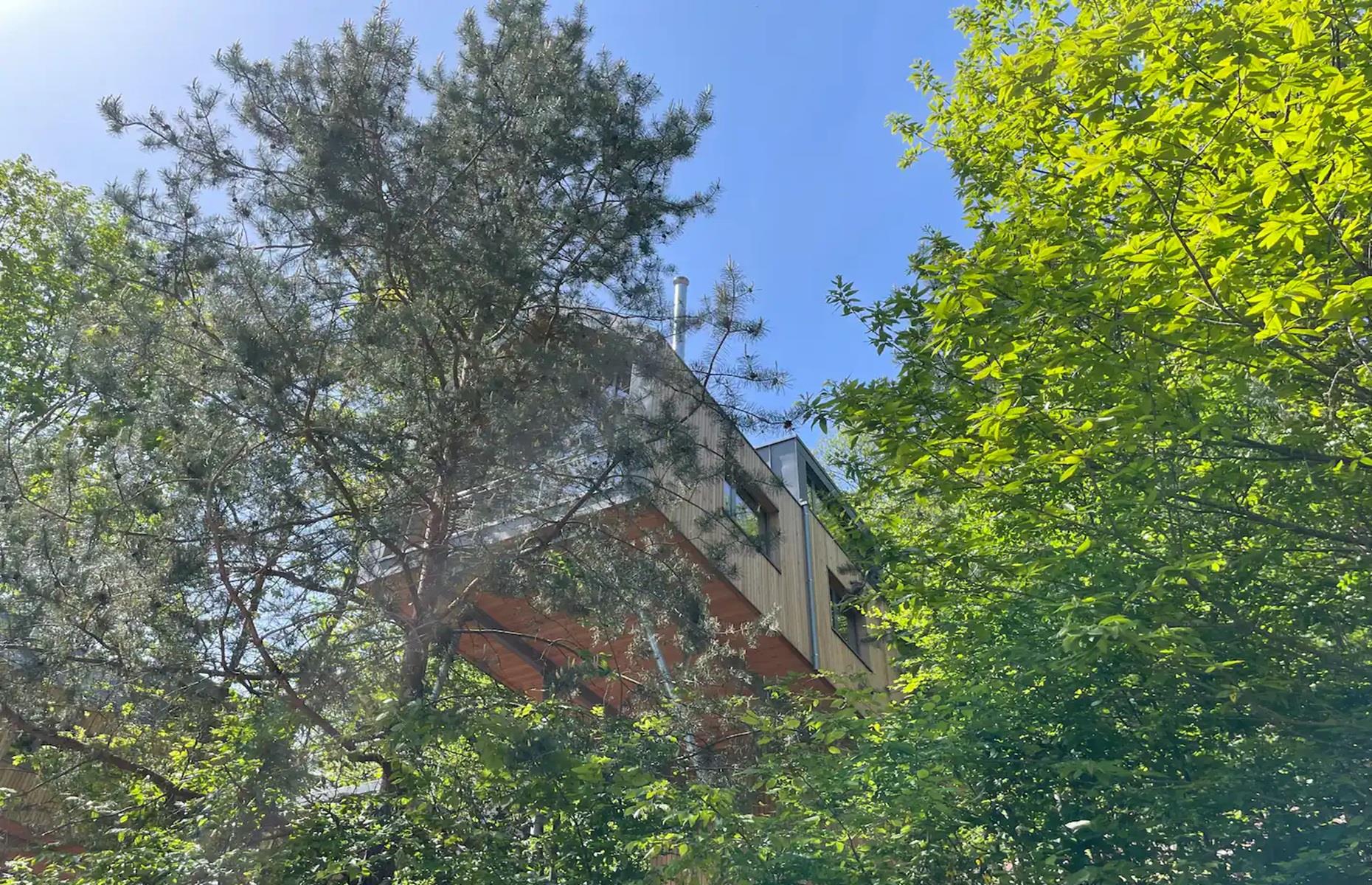 Modern treehouse, Rhineland-Palatinate, Germany