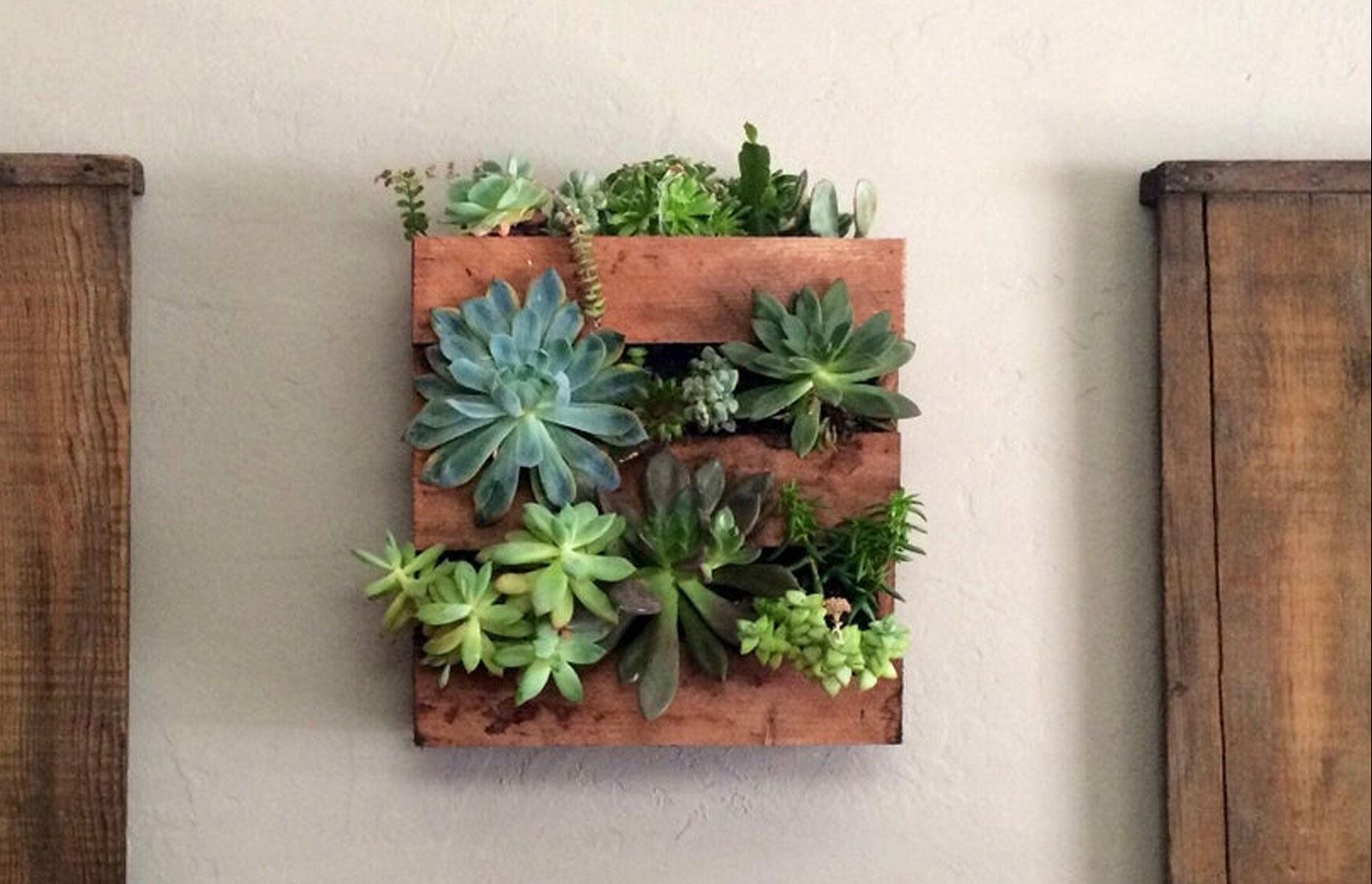 Marvel at a mini planter