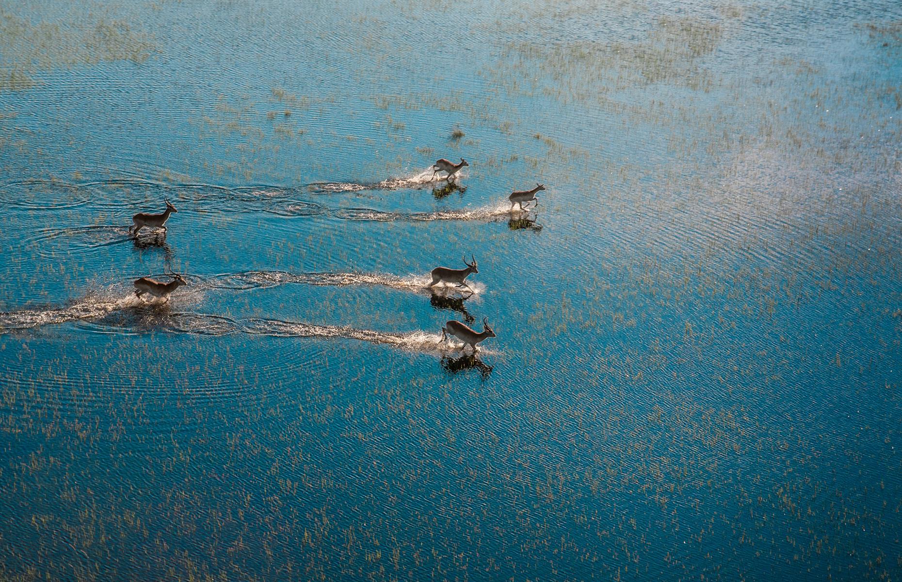 Okavango Delta flooding, Botswana
