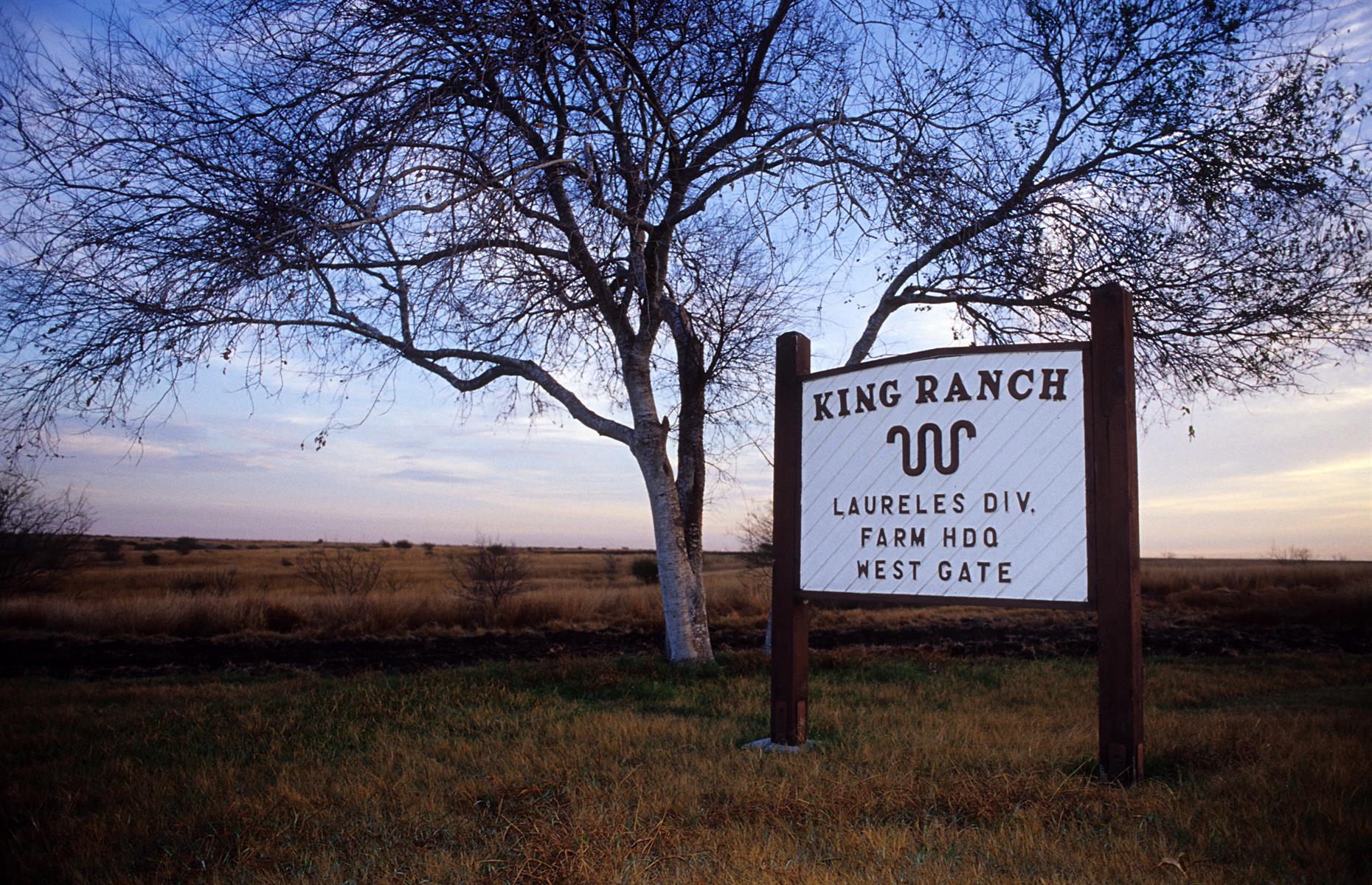 9. King Ranch heirs: 911,215 acres