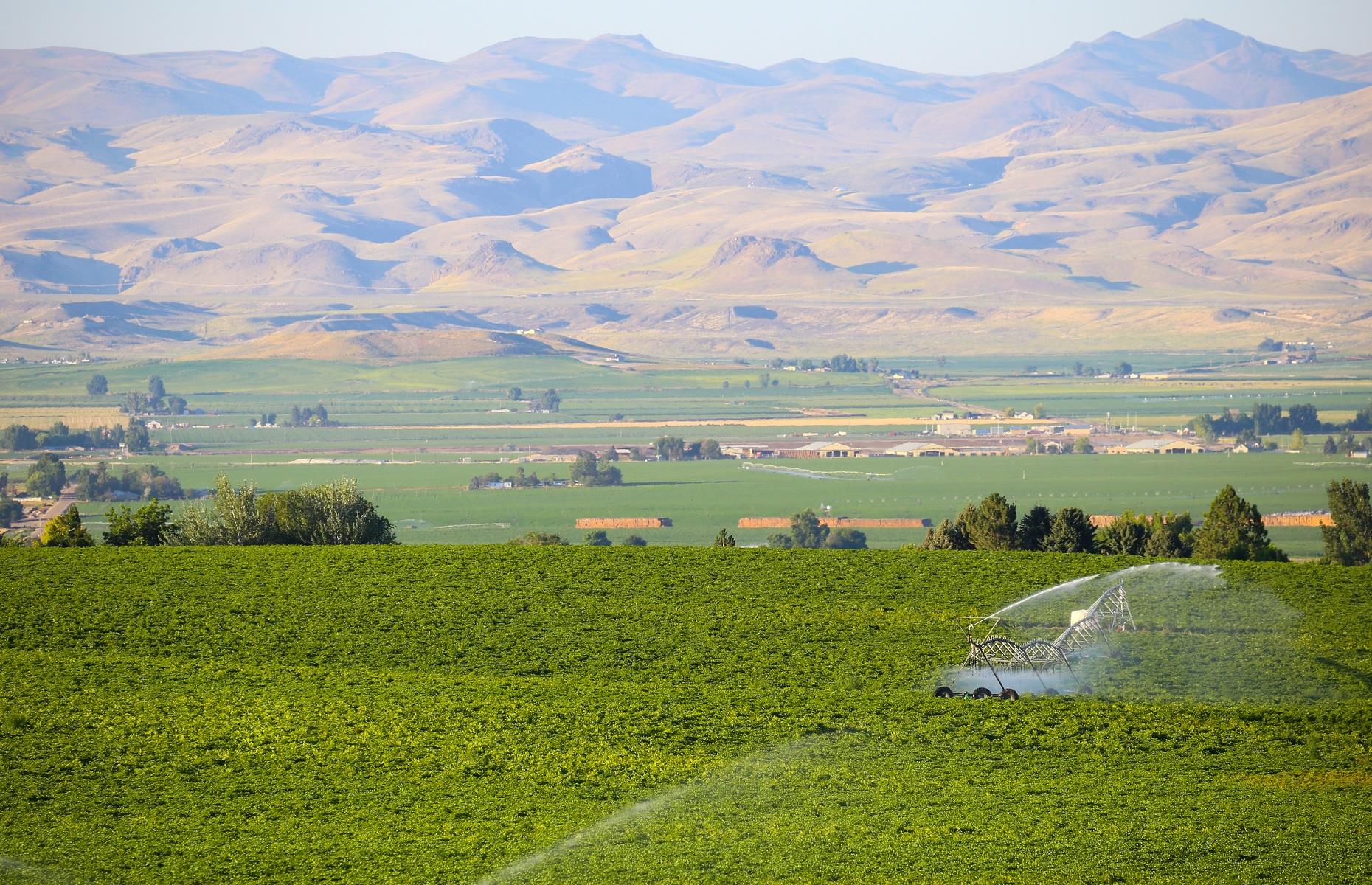 The need-to-know of Nampa