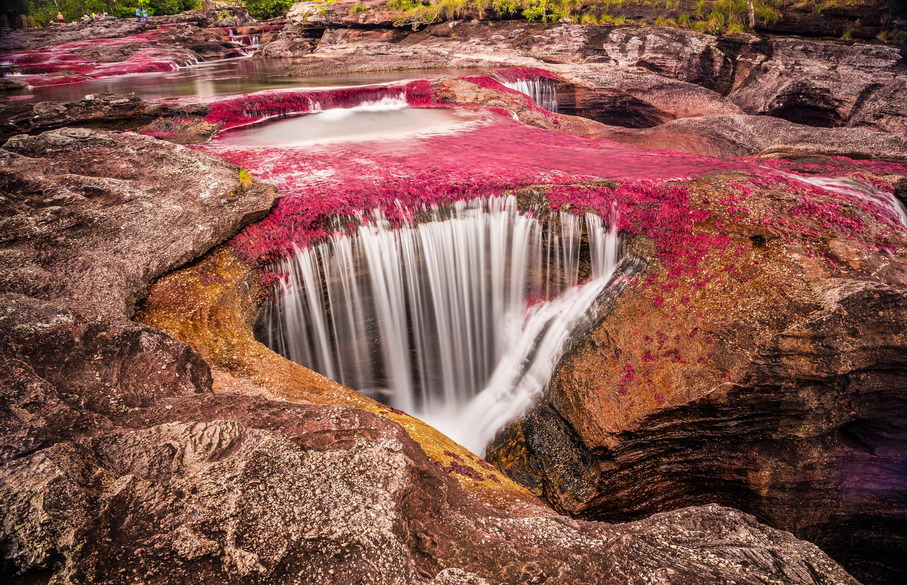 Caño Cristales, Colombia: Encanto