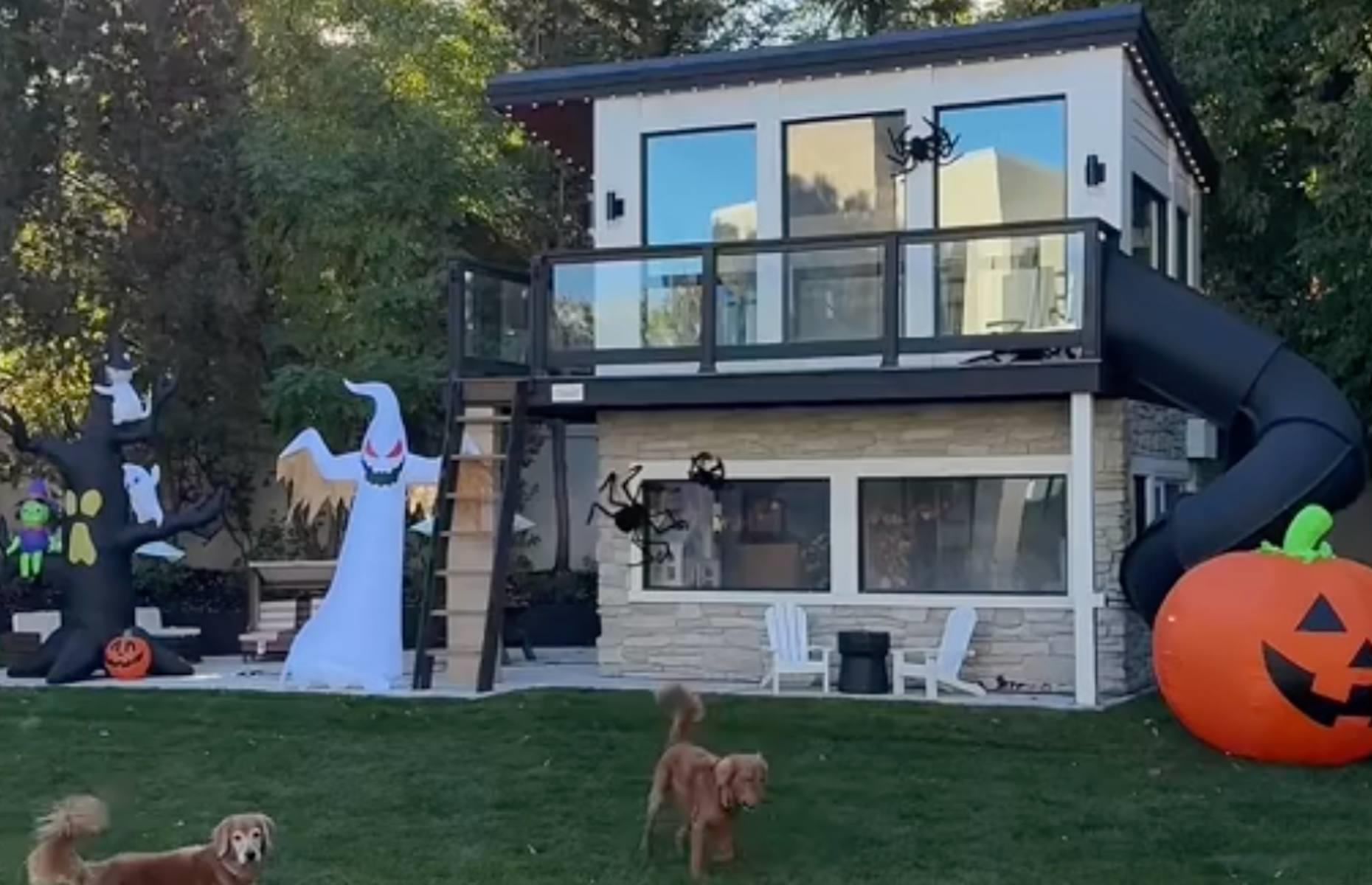 In the ultimate dog house