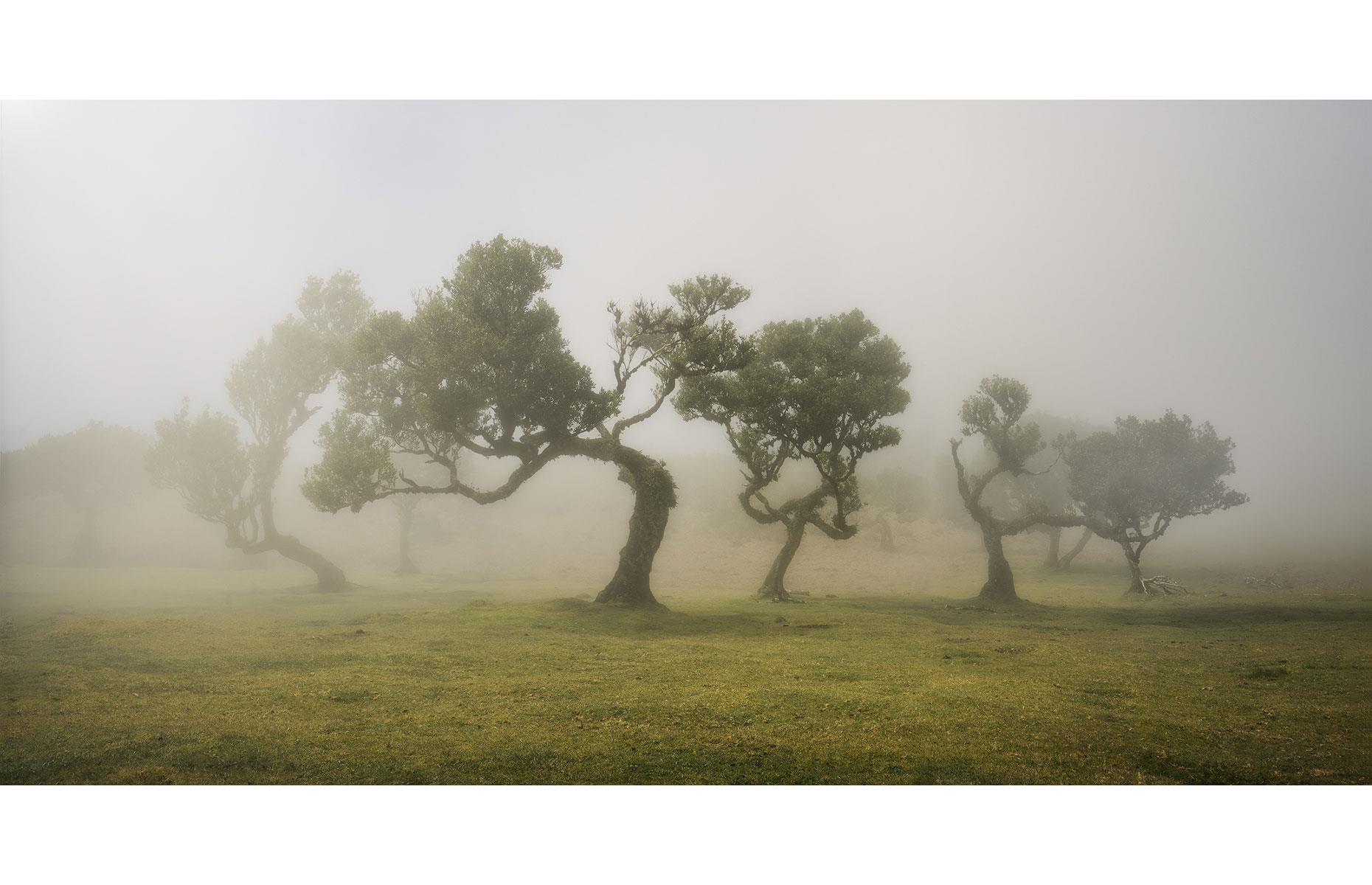 Top 50 Amateur - Nature/Landscapes: Jens Ober