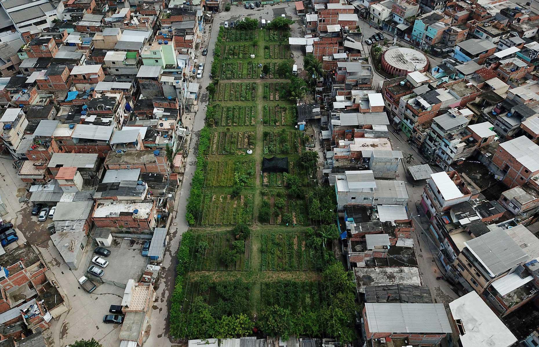 Rio de Janeiro creating the world’s biggest urban garden