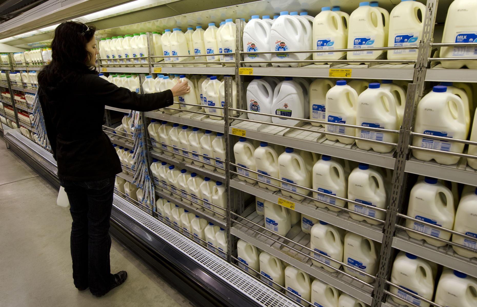 New Zealand: milk's economic importance