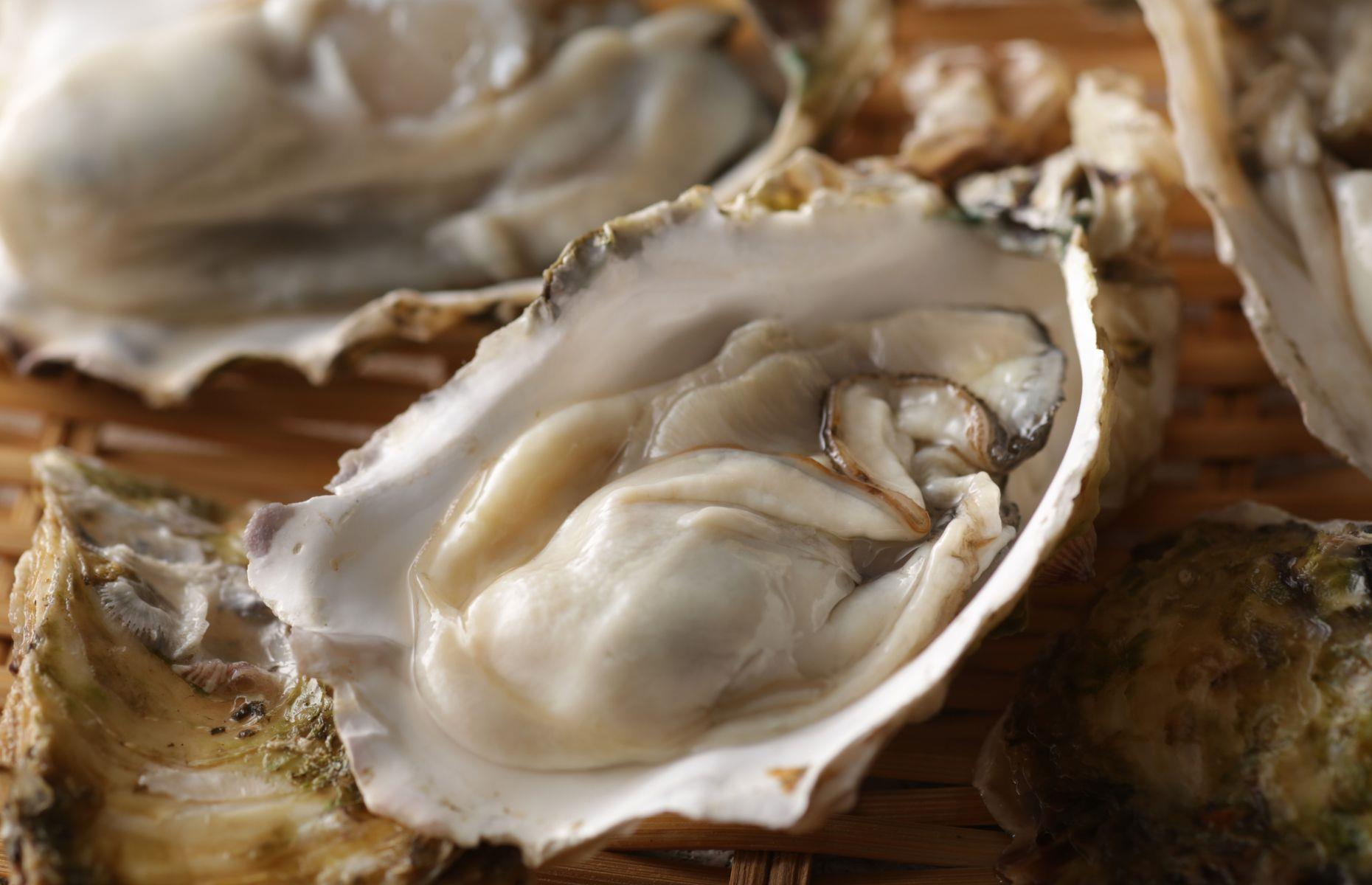 7. Oysters  