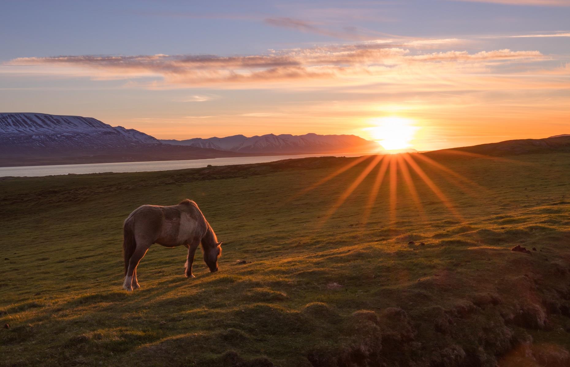 The Midnight Sun