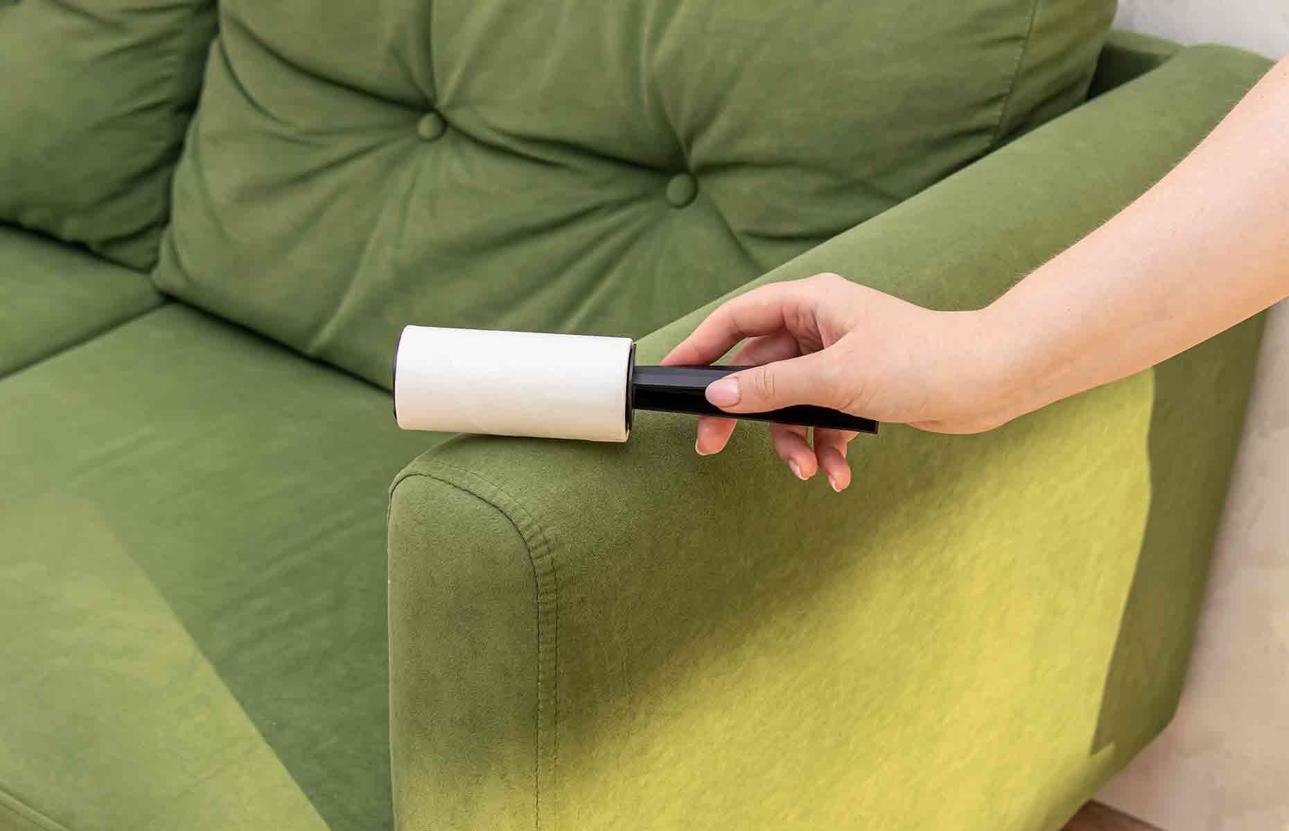 Pick up pet hair with a lint roller