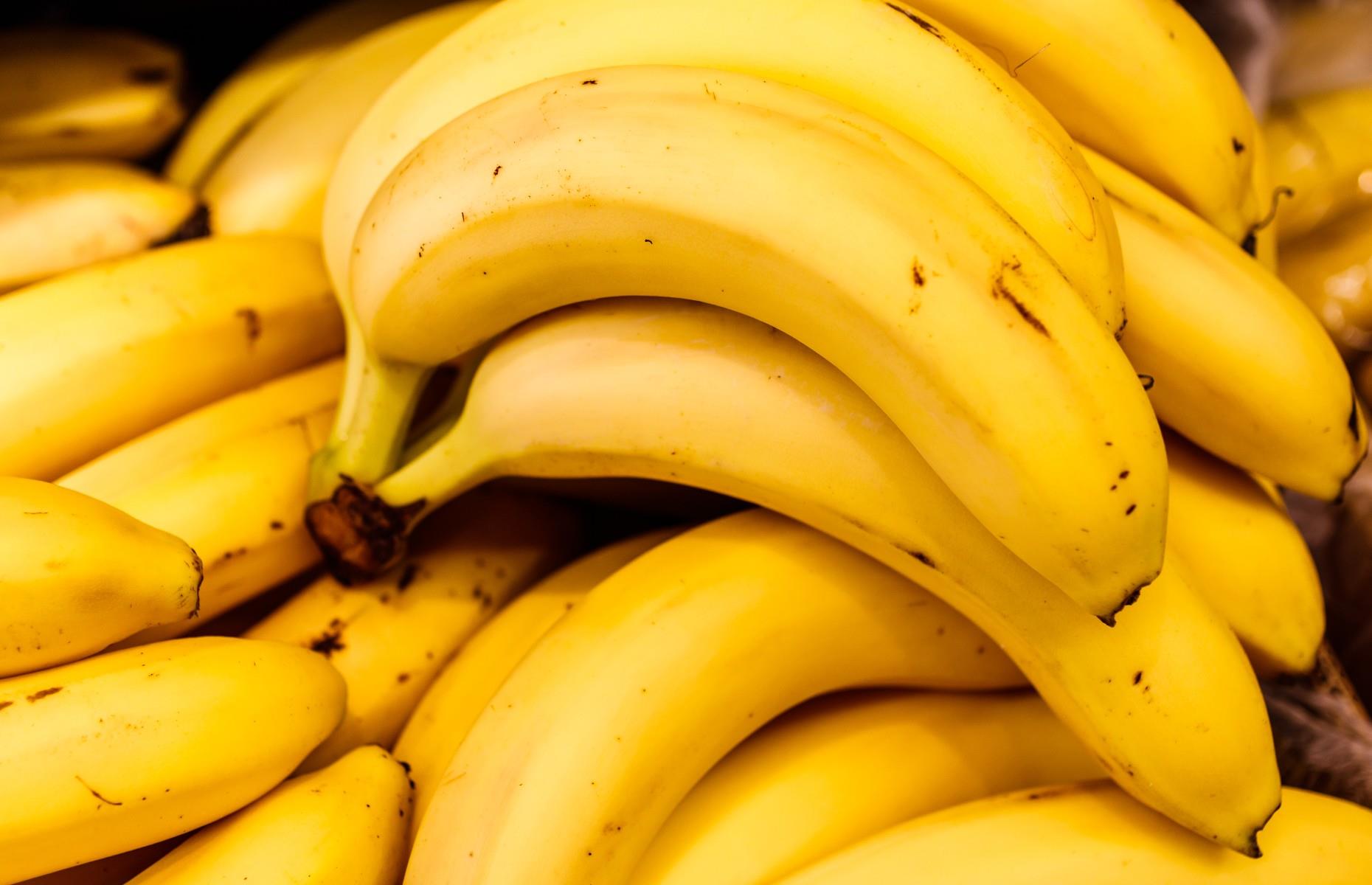 During the Second World War, the British made fake bananas 
