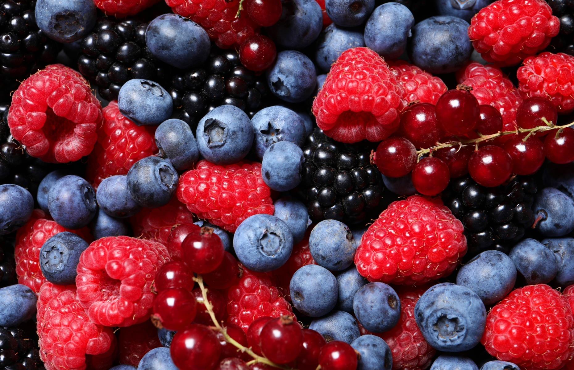 Berries 