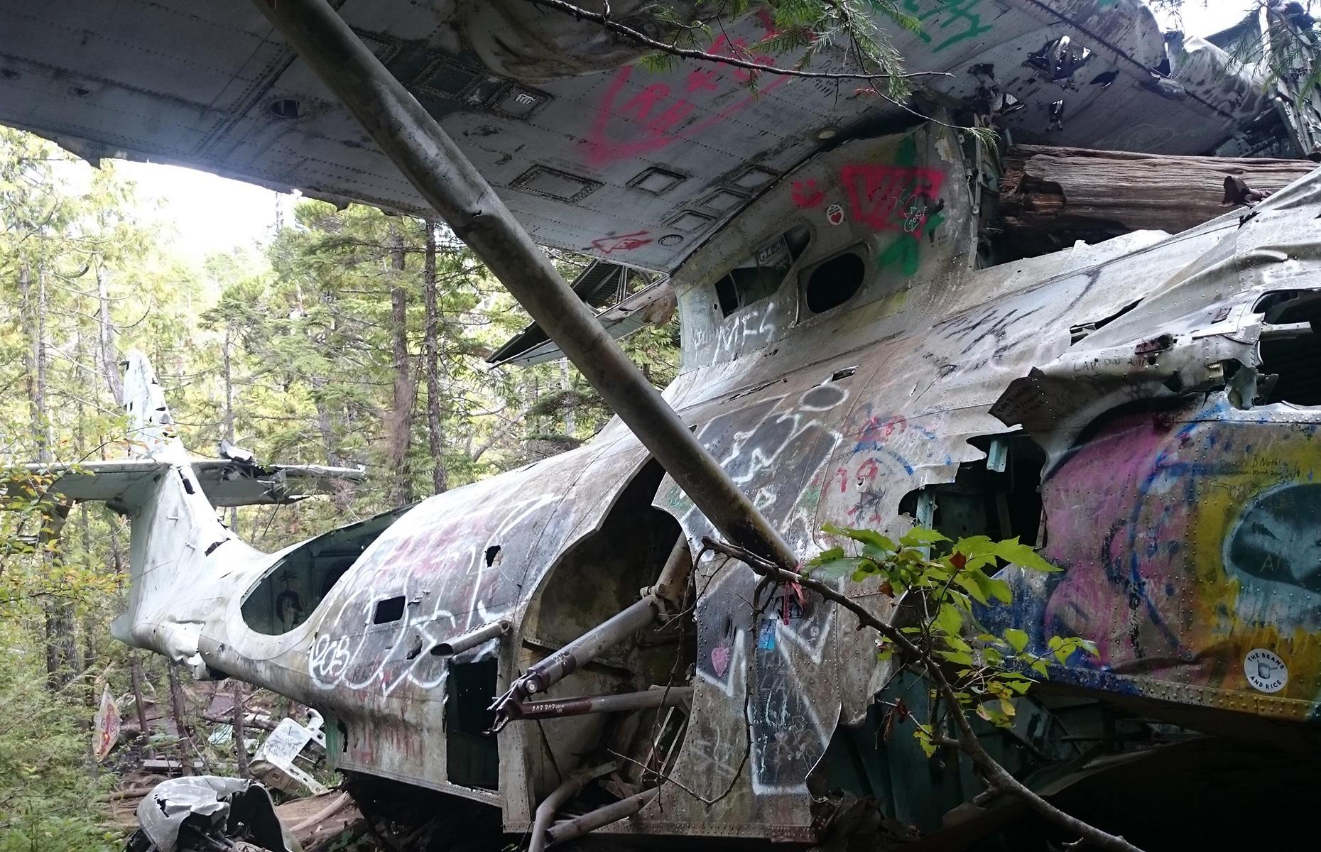 Abandoned, forgotten and left to rot