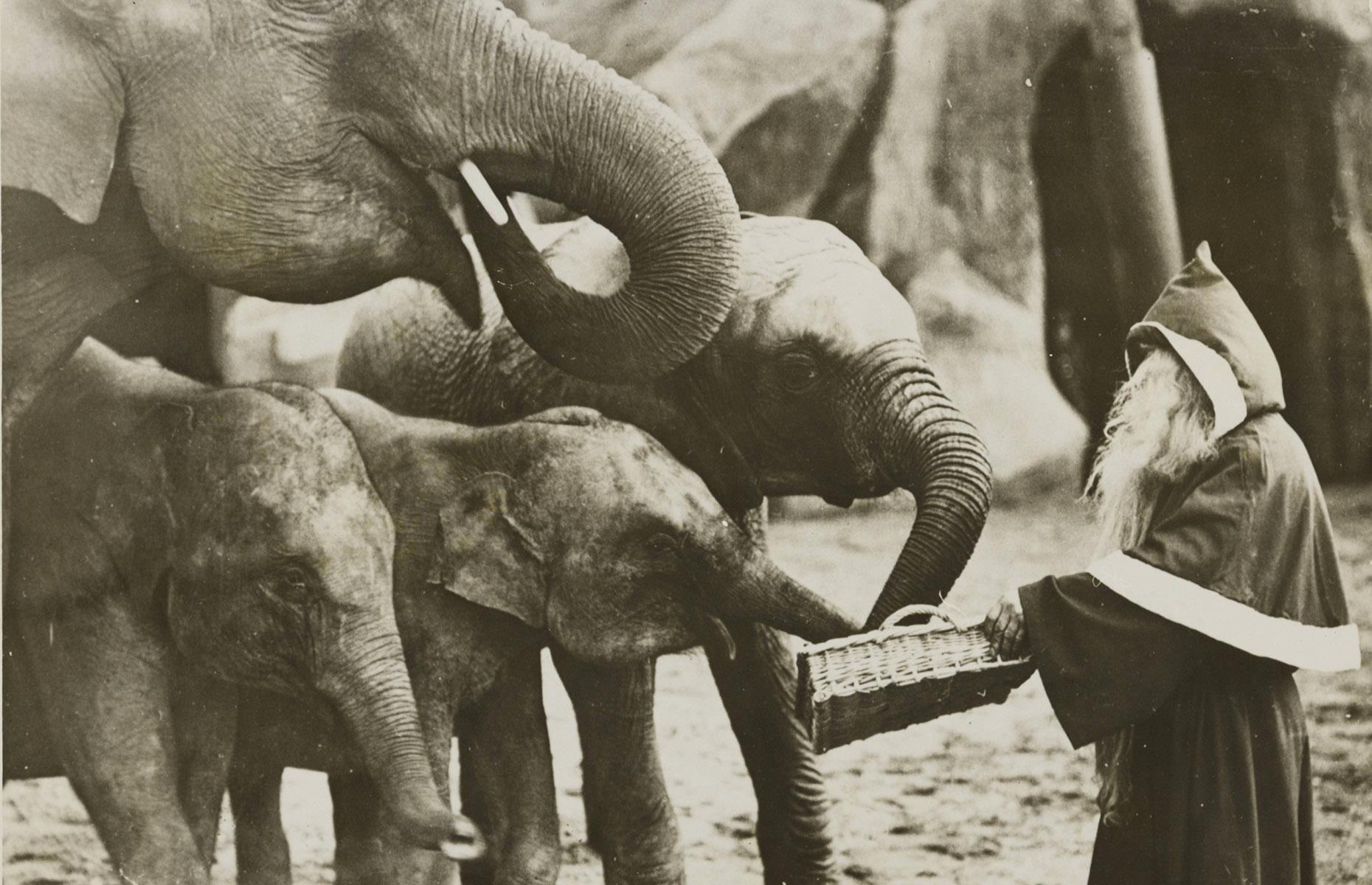 1930s: everyone gets a treat!