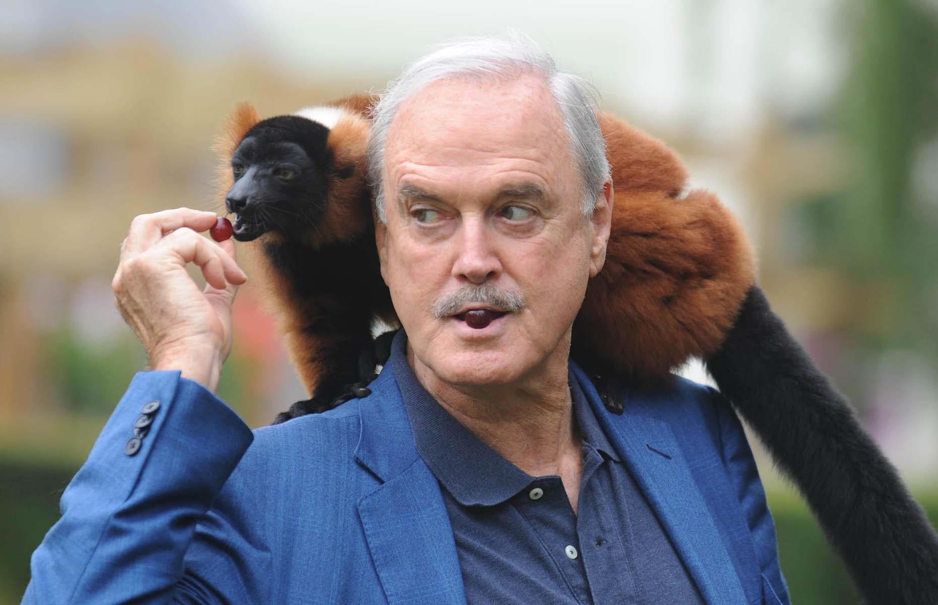 John Cleese lemur