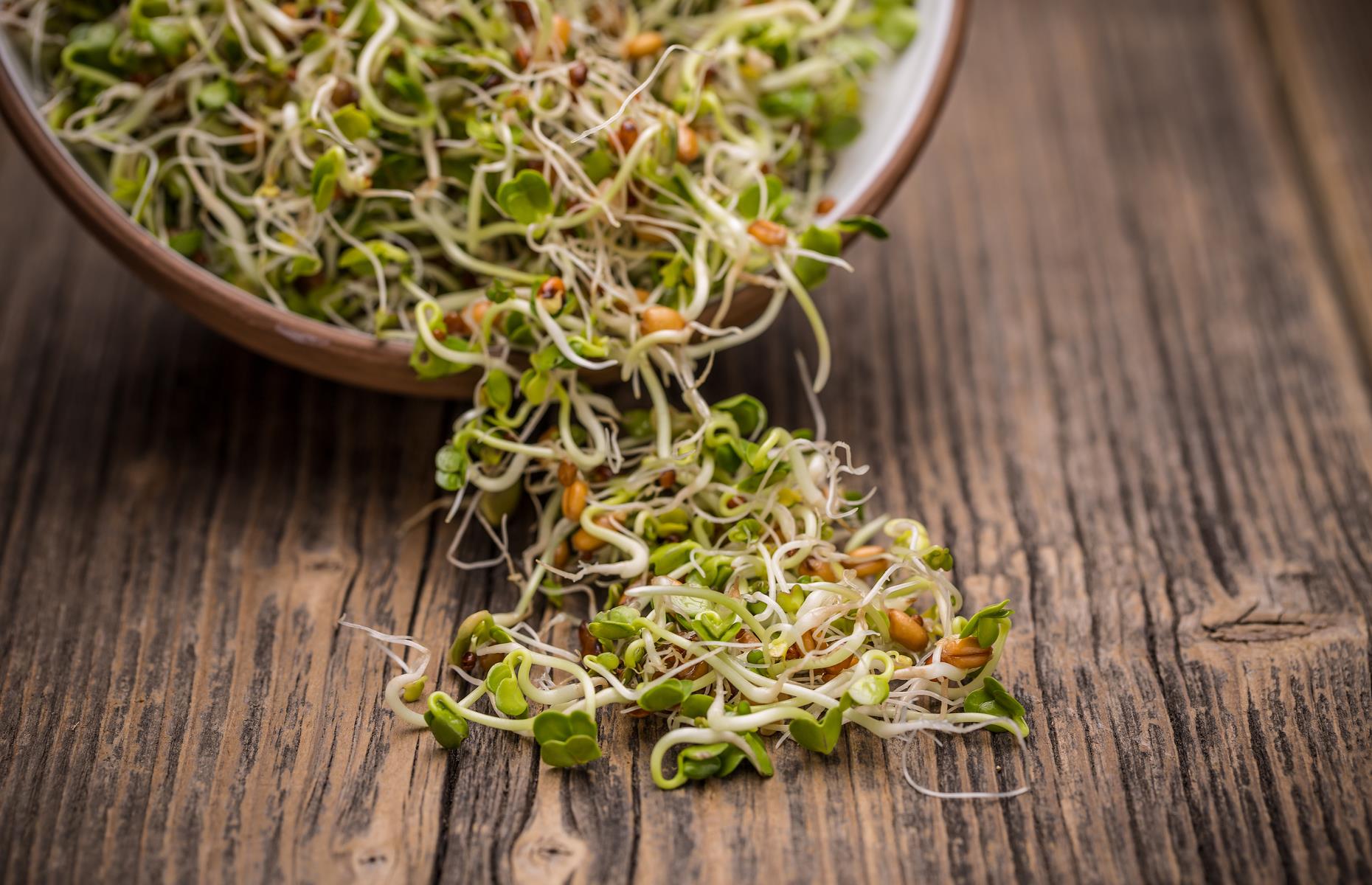Raw sprouts 