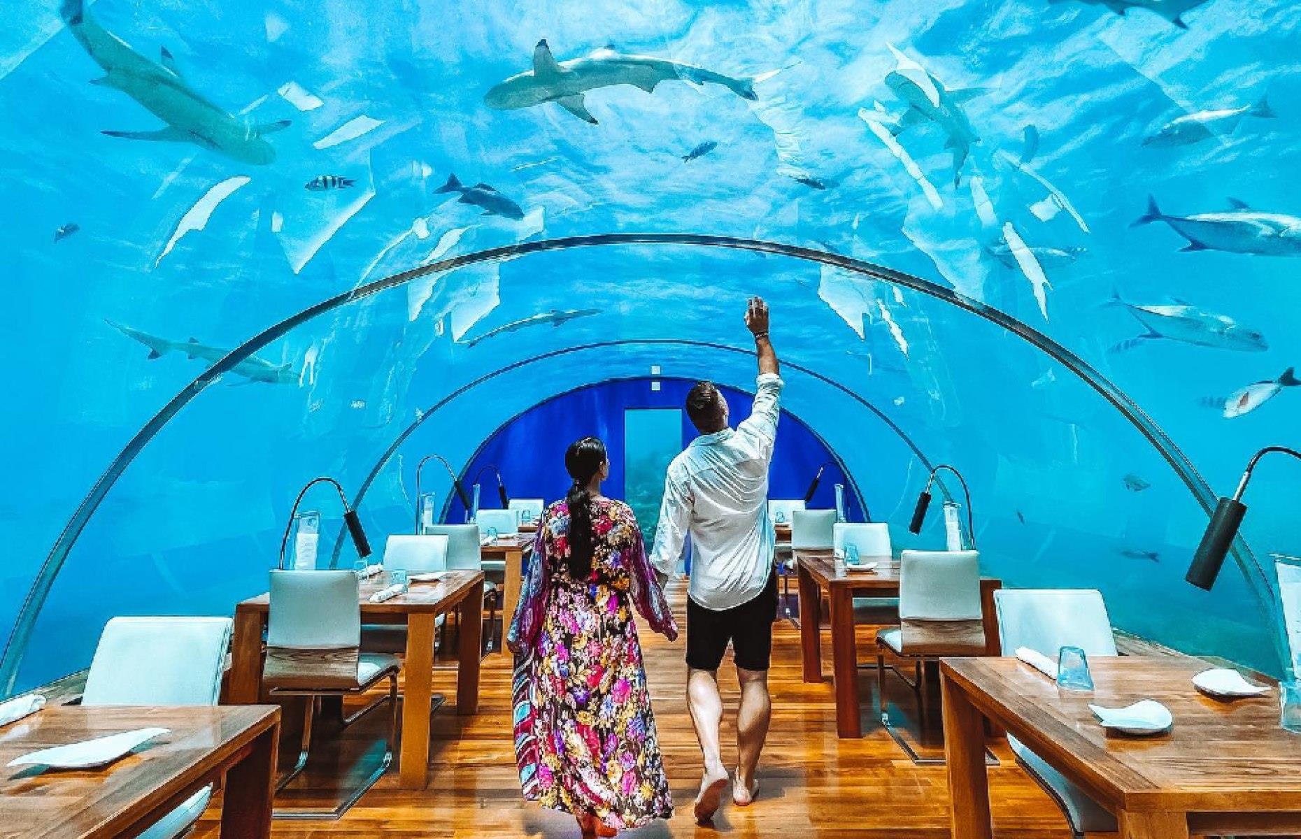 Ithaa Undersea Restaurant, Conrad Maldives Rangali Island, Maldives
