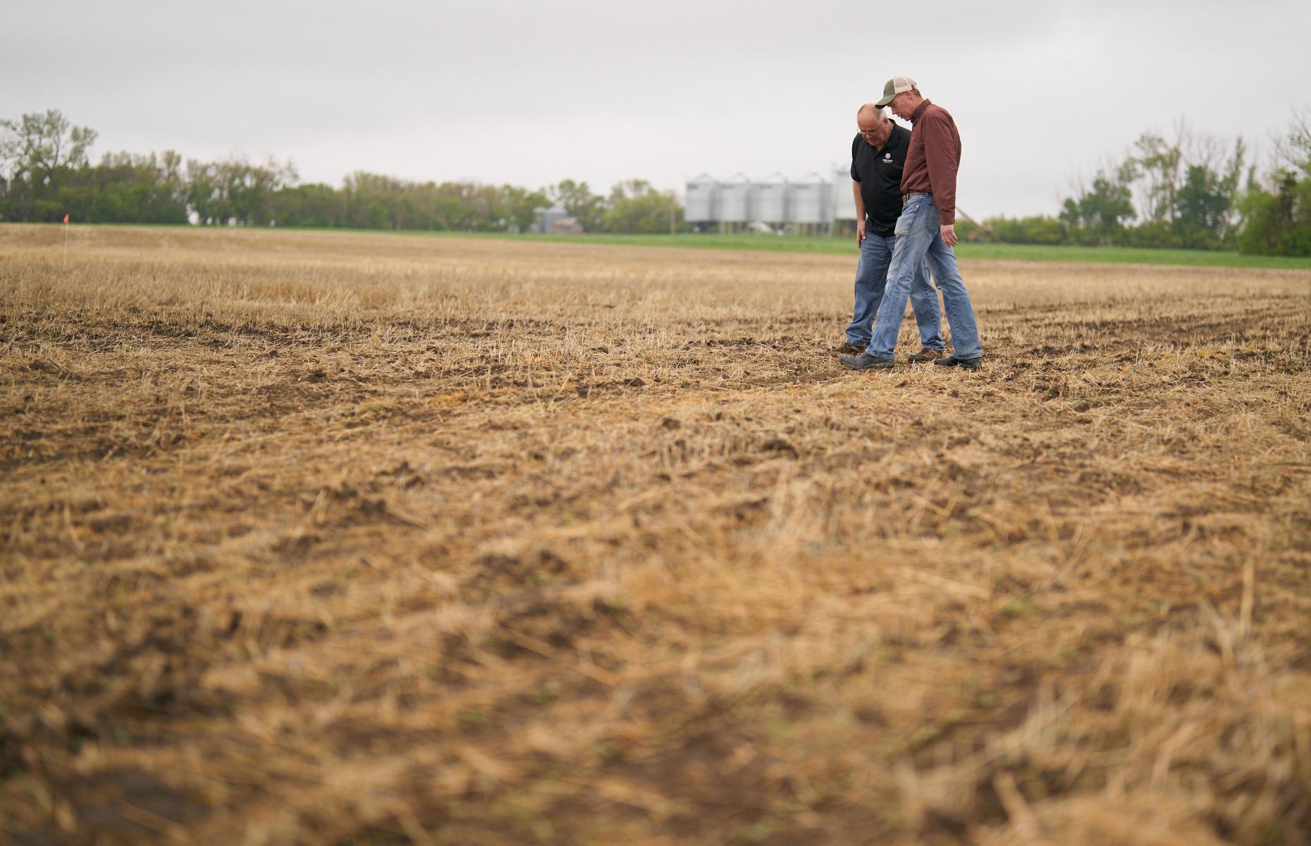 Davidson, Saskatchewan