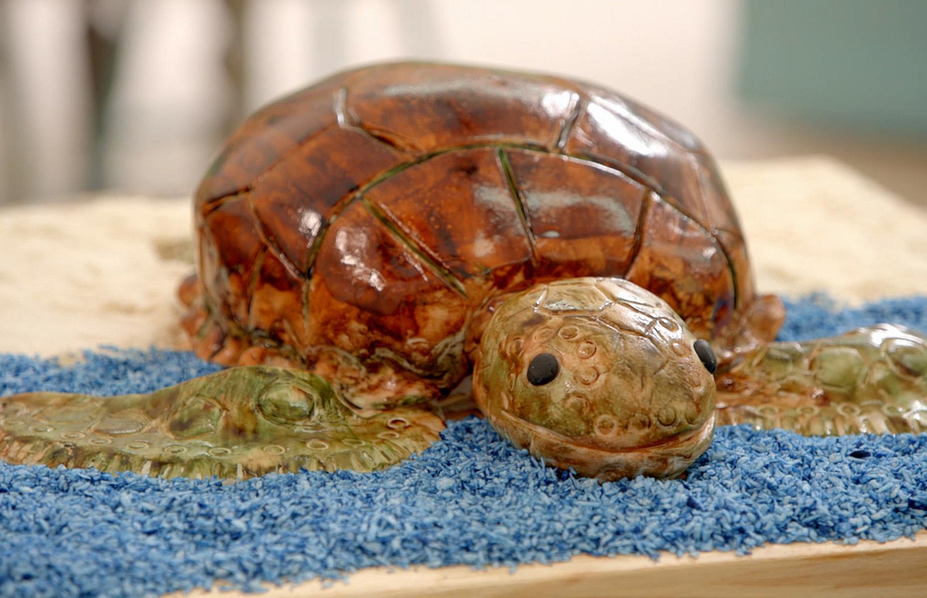 36: Saku Chandrasekara's 'Tikiri the Turtle' cake, 2023