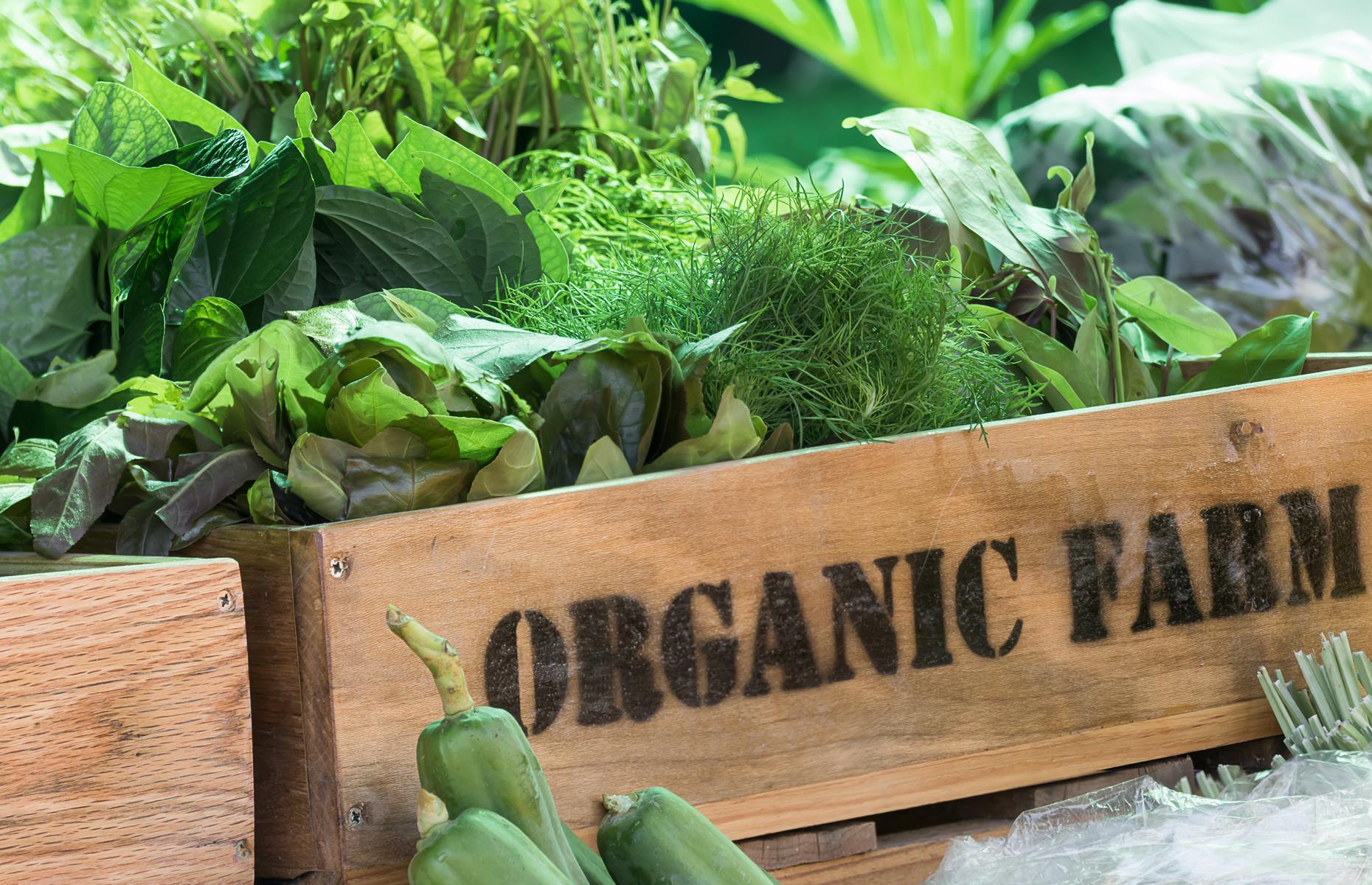 Organic is much better for us