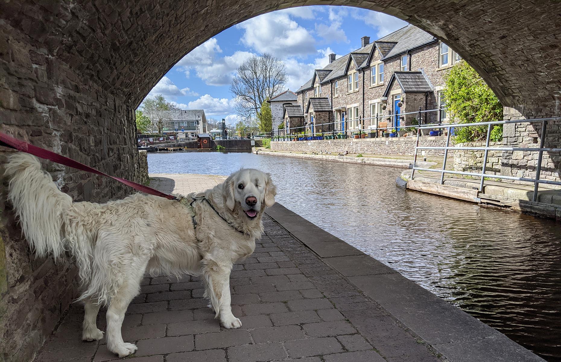 Brecon, Powys, Wales