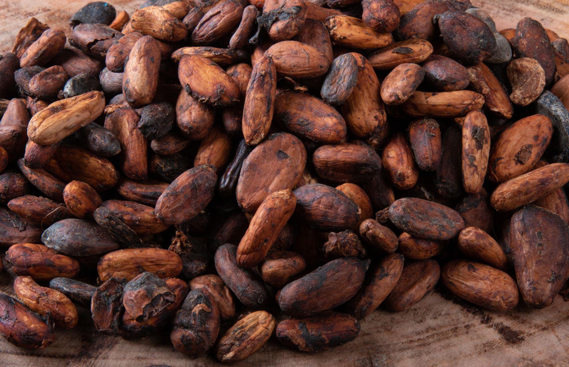 The Mayans used cocoa beans as currency