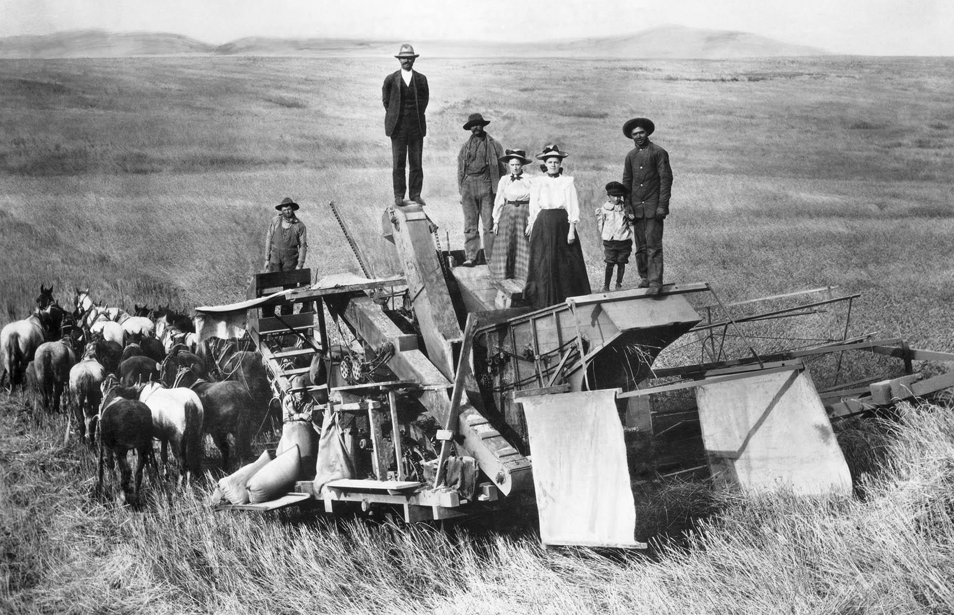 Una cosechadora tirada por caballos, Nebraska, 1890