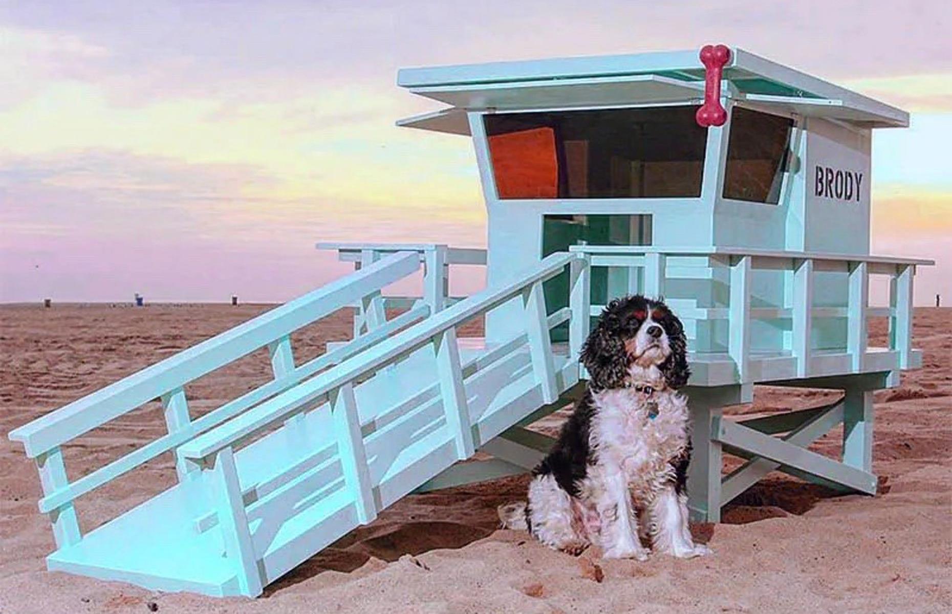 Pupguard house