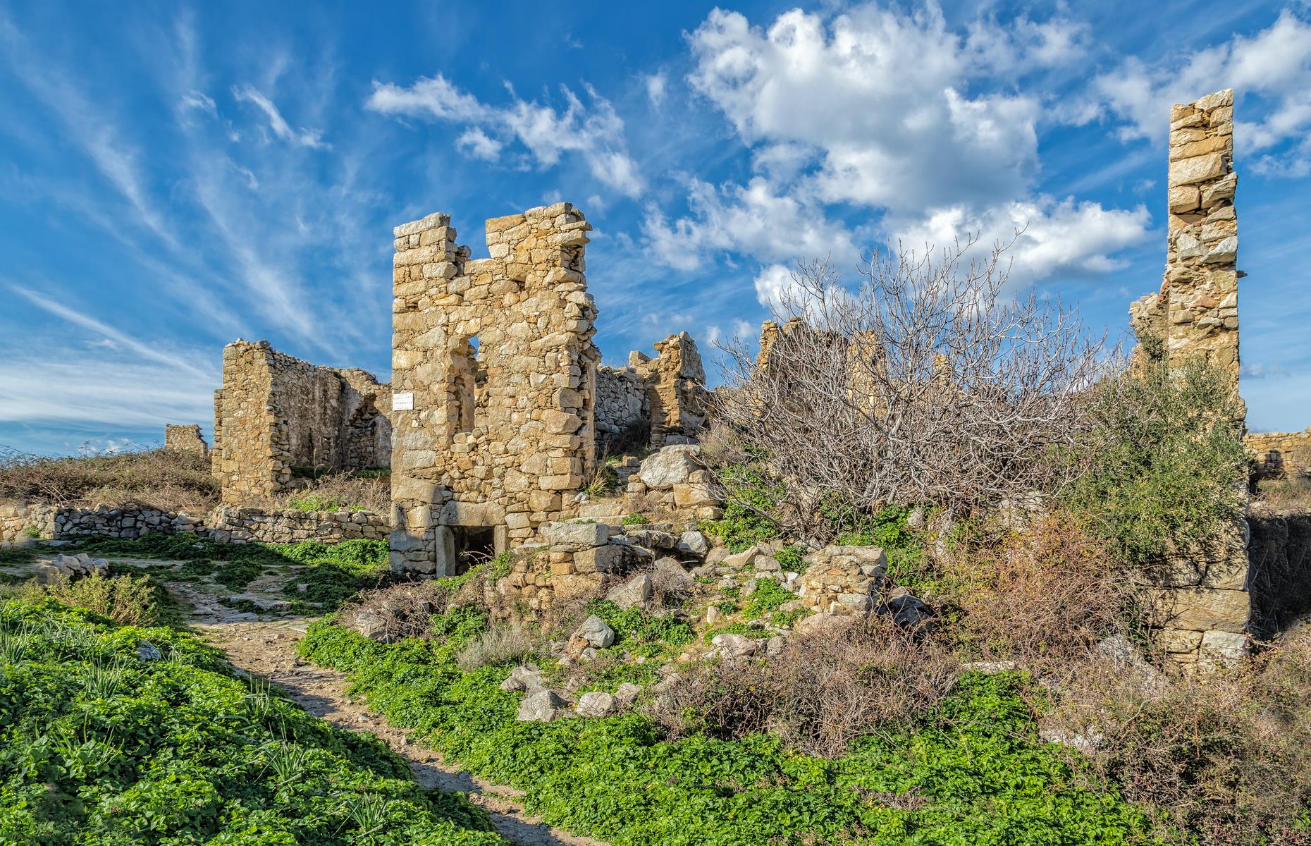 Occi, Corsica 