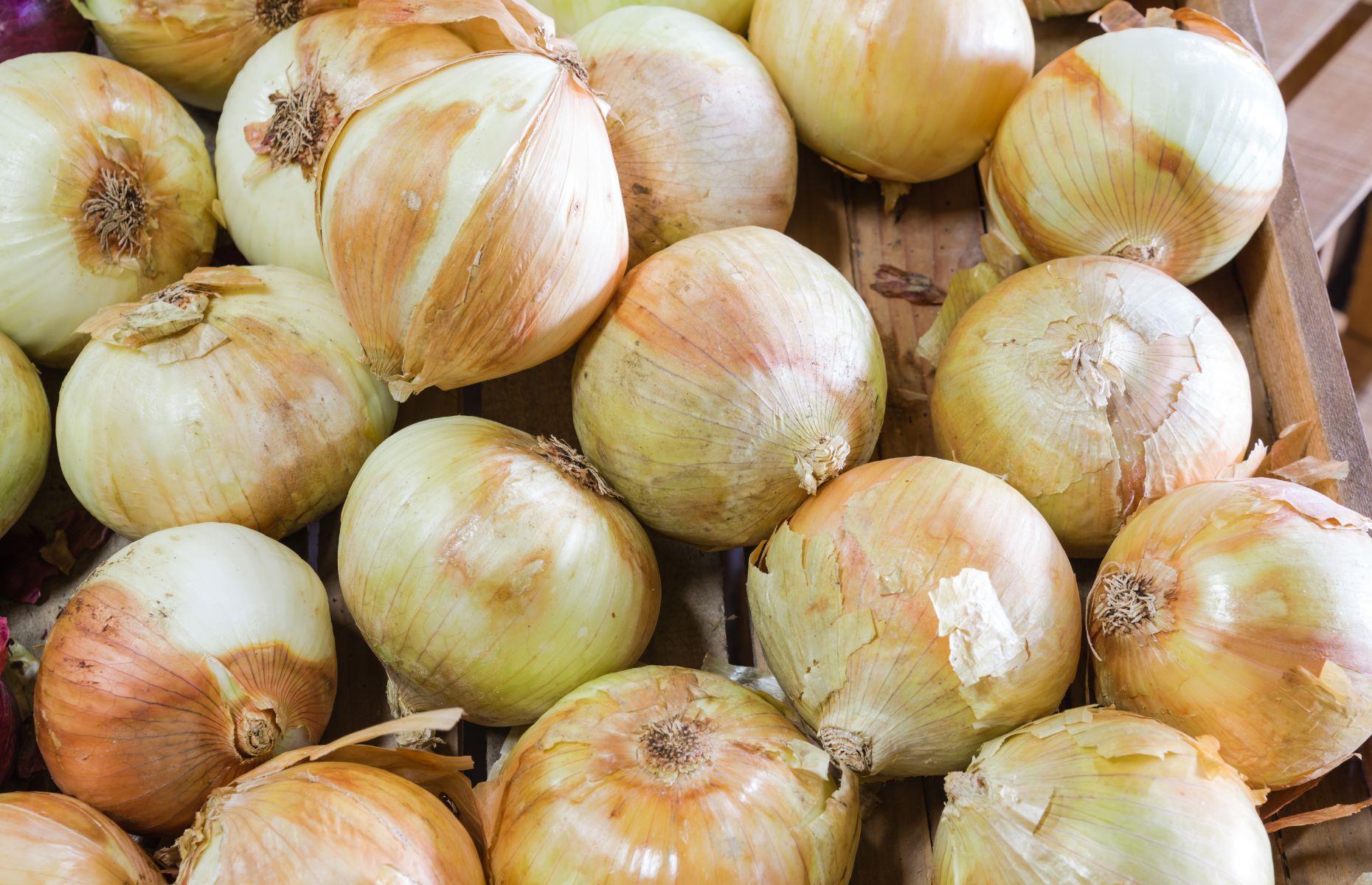 4. Vidalia onions, Georgia, USA  