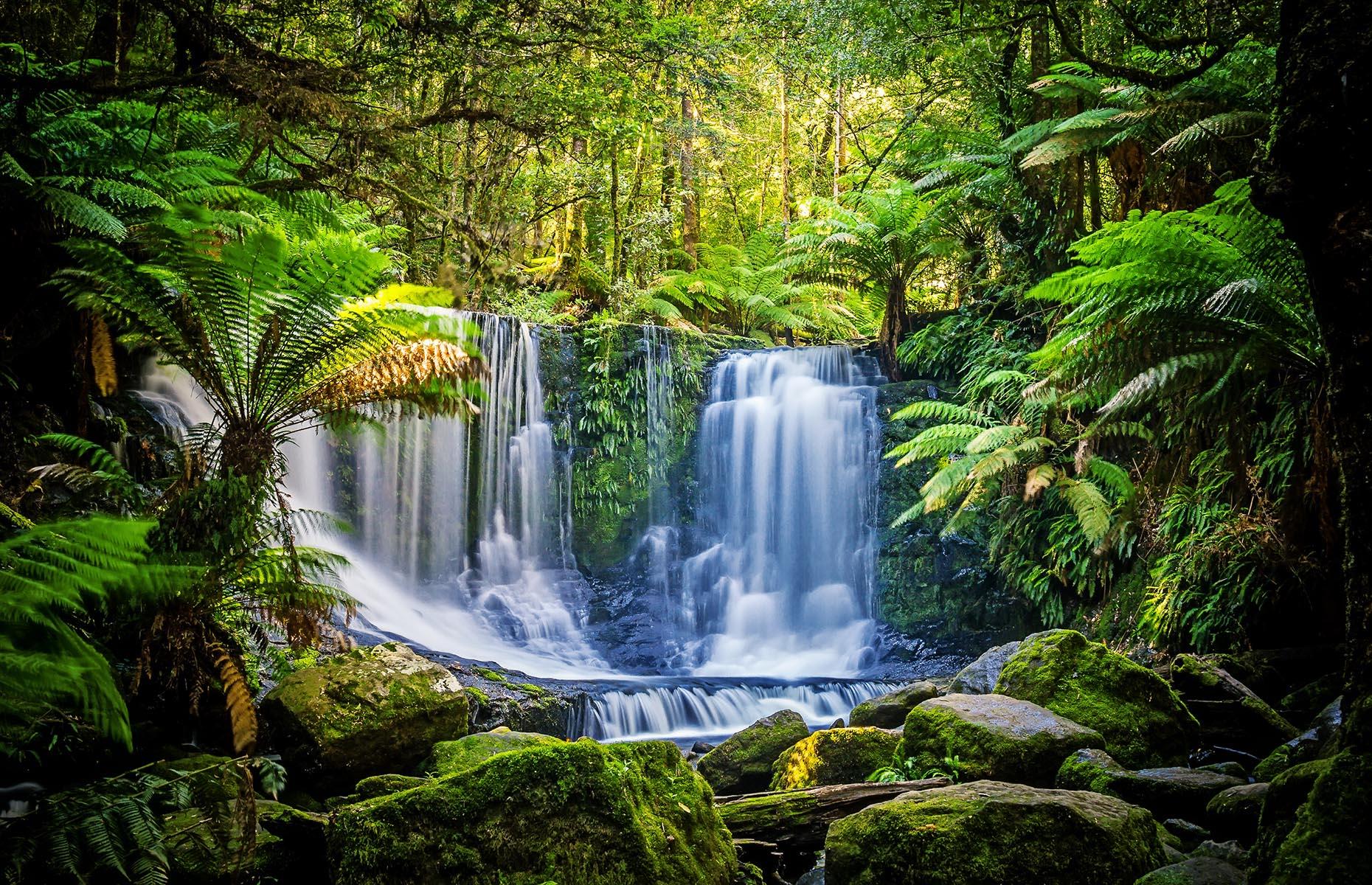 Tasmania is the wettest state
