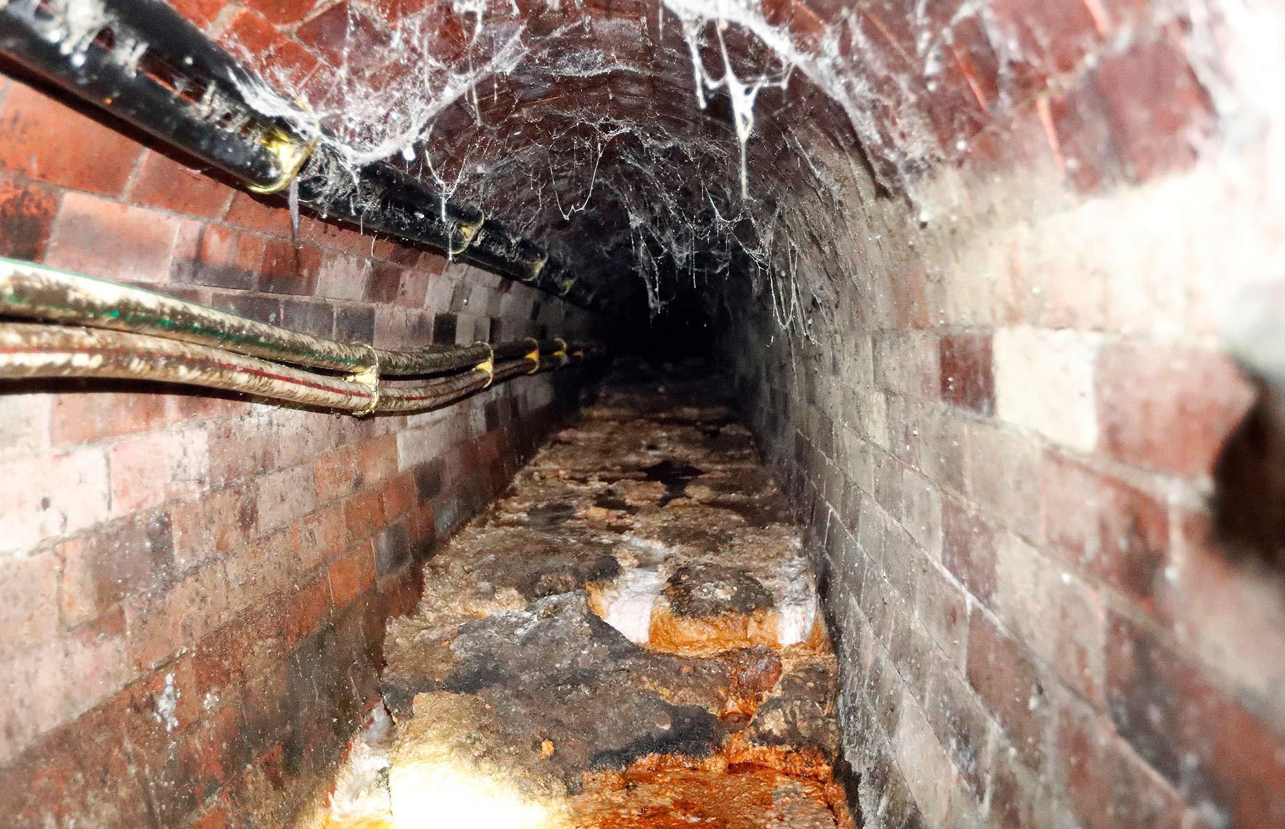 What is a fatberg?