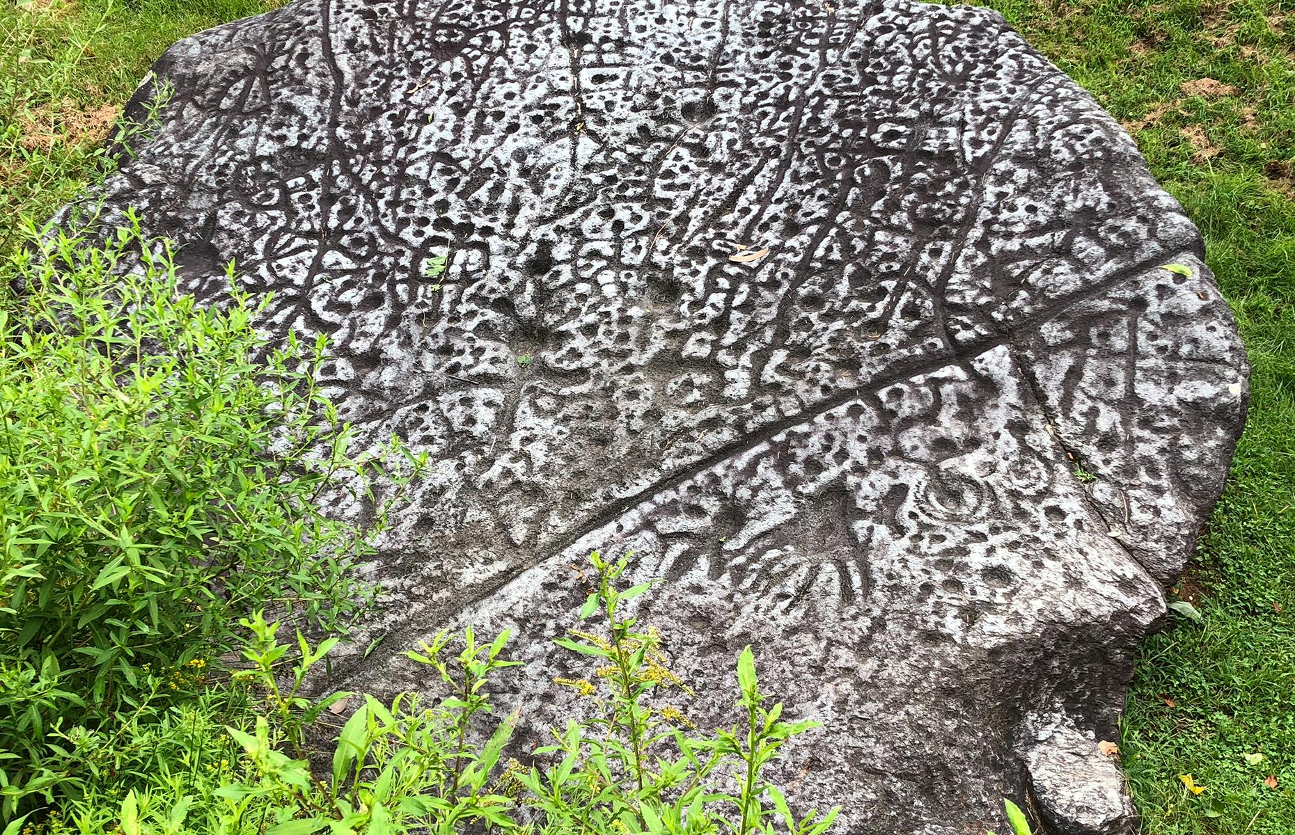 Judaculla Rock, Cullowhee, North Carolina