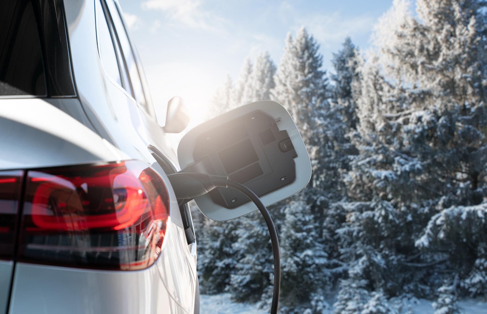 8. Finland, electric cars share: 8.3%