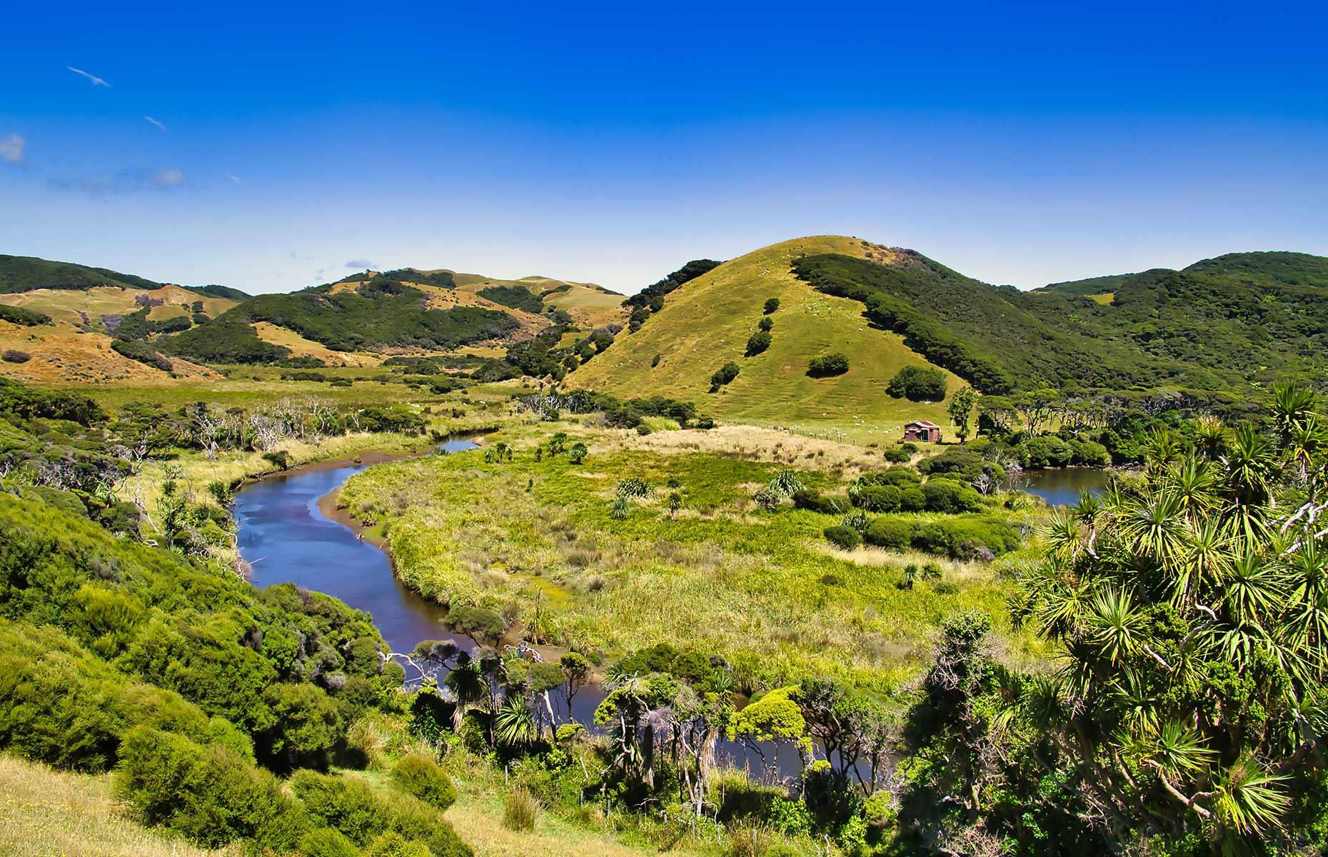 Billionaire bolthole: New Zealand