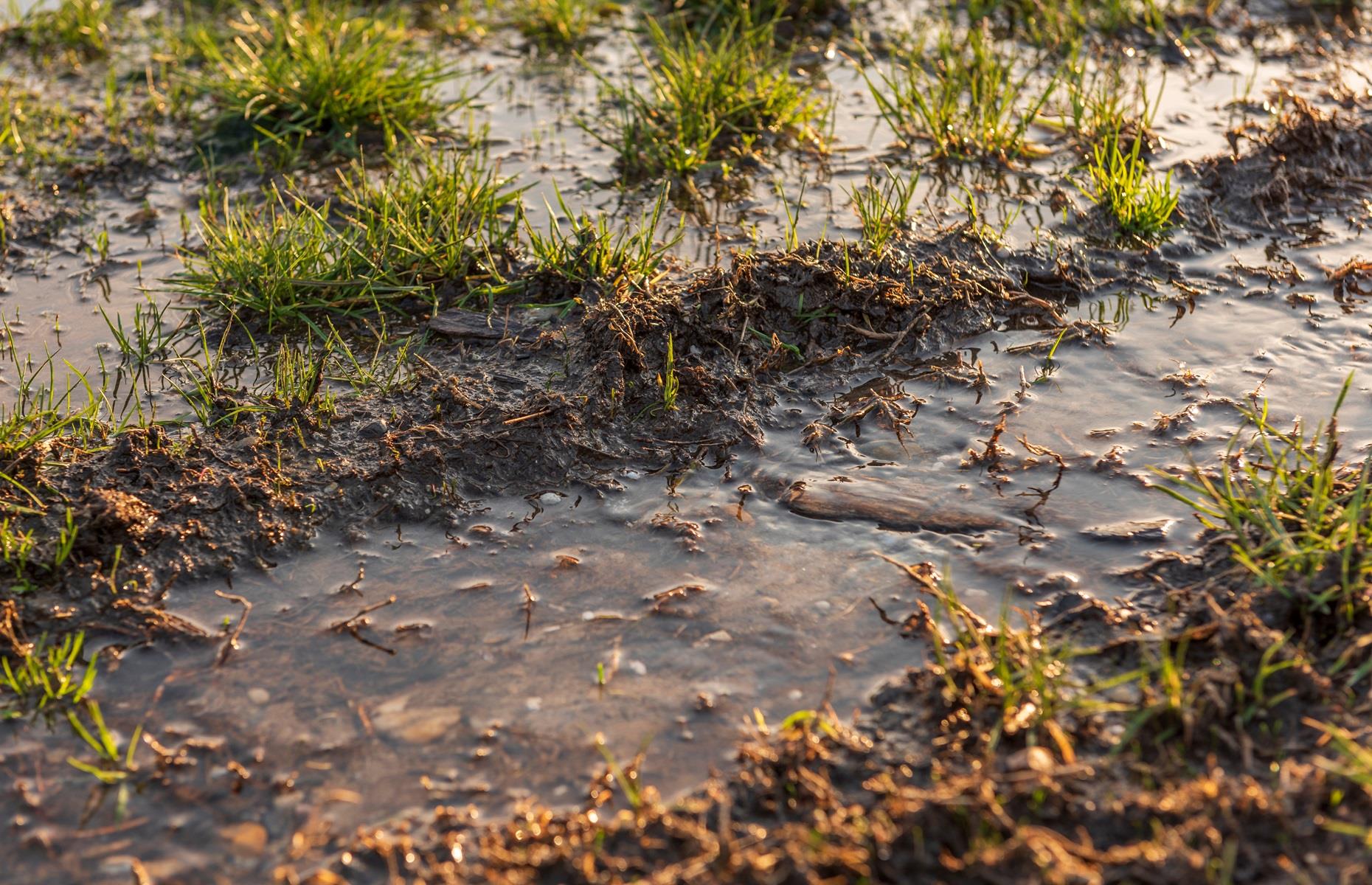 Improve garden drainage