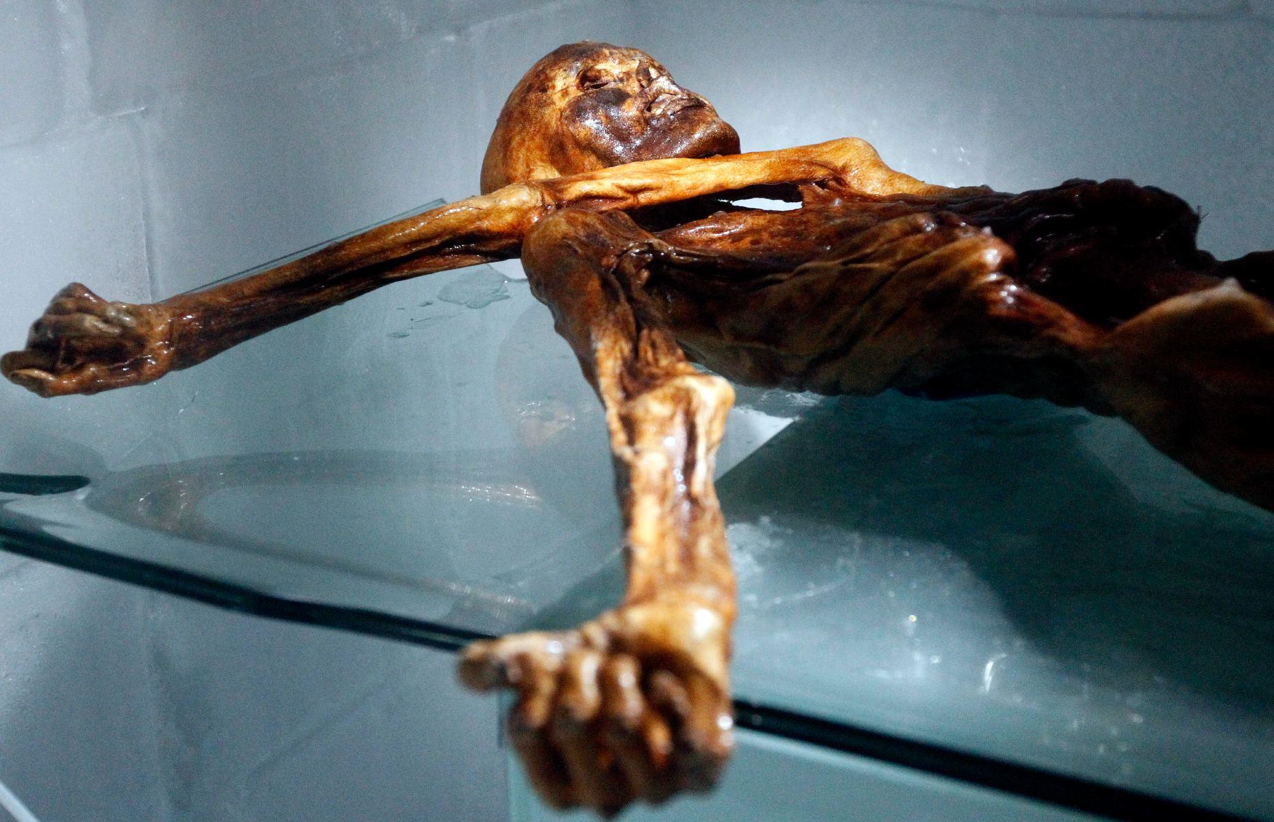 Copper Age mummy’s genetics, Italy