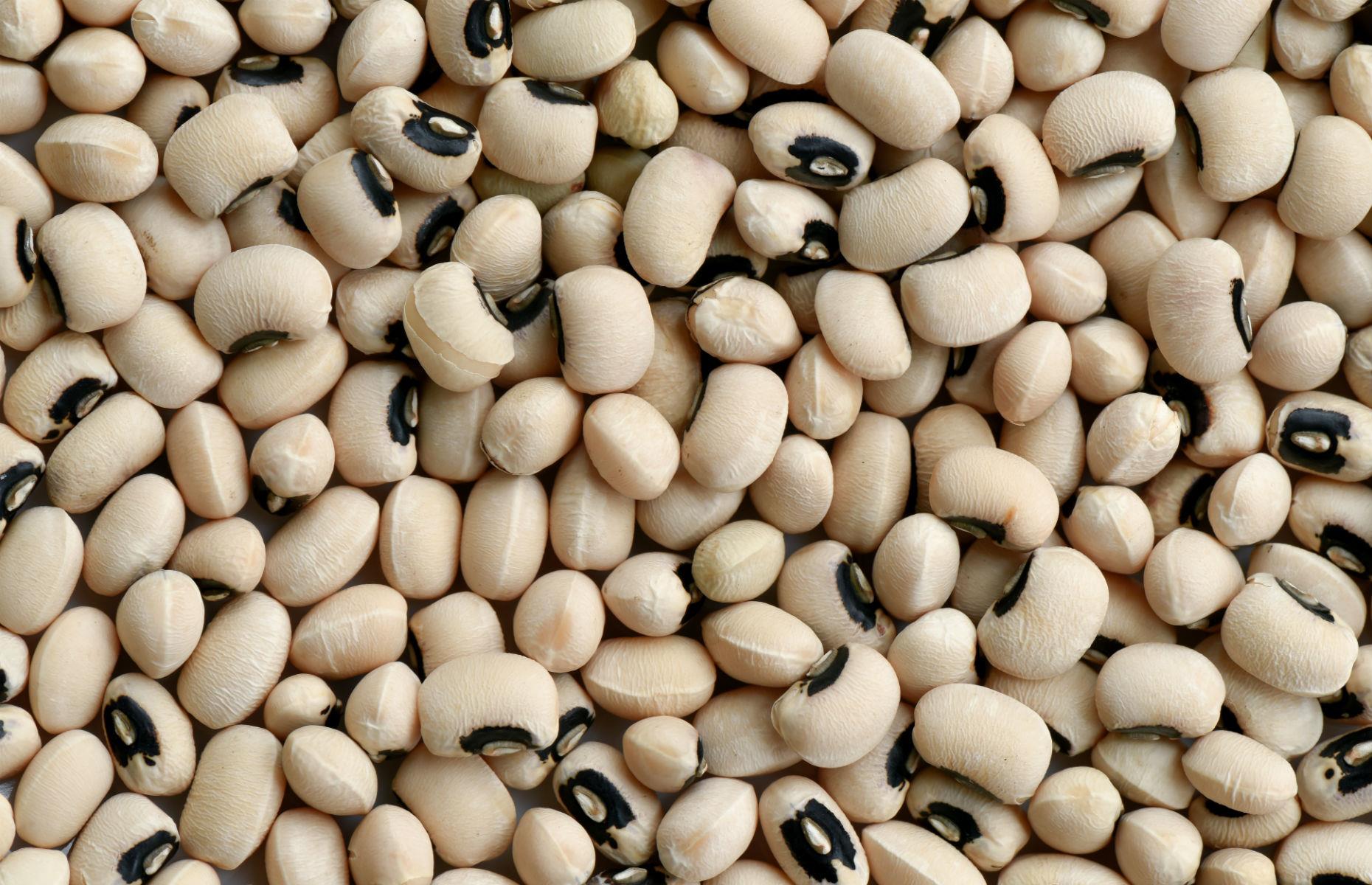 Fill beans