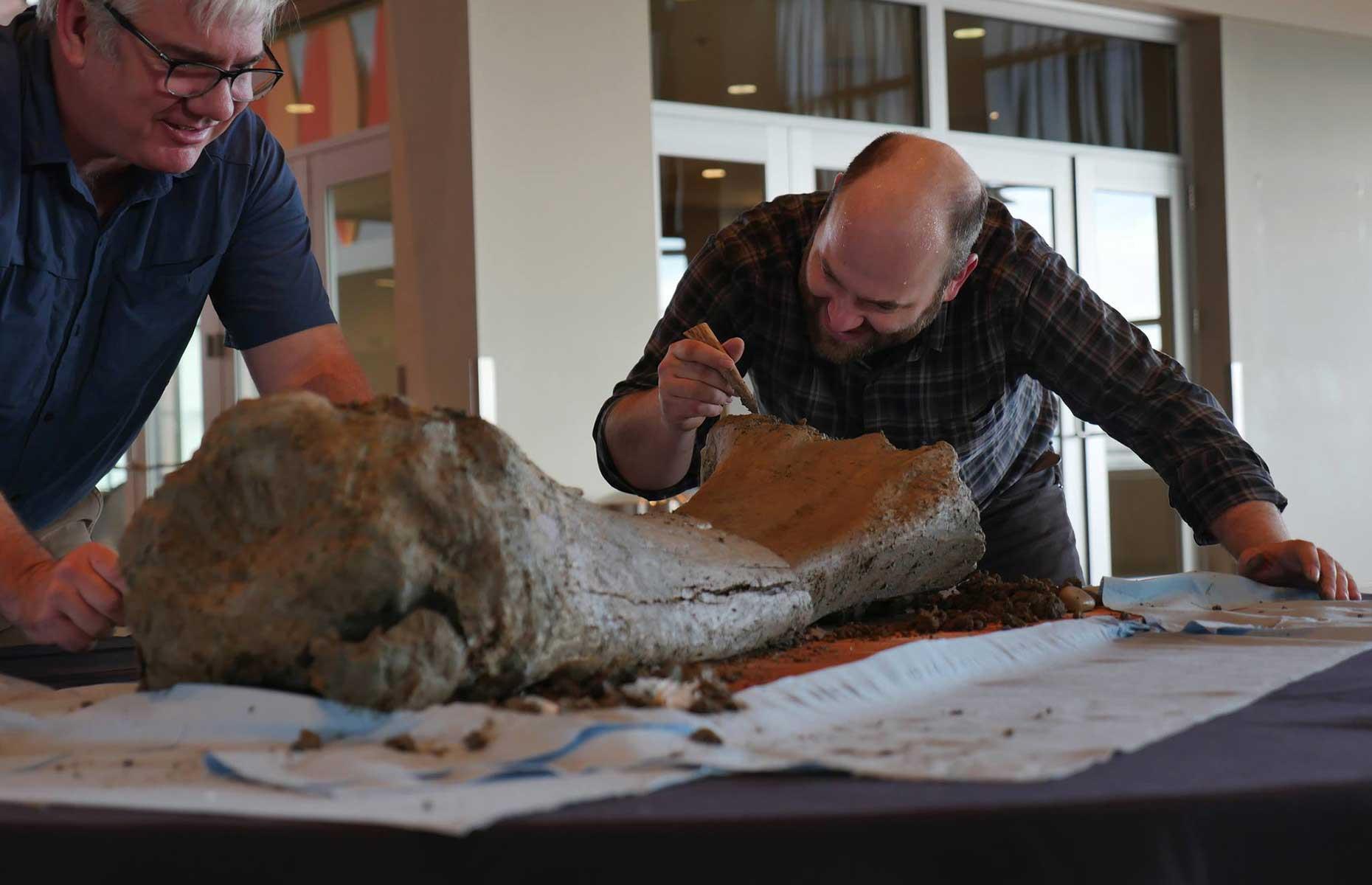 Mammoth bones, Reser Stadium, Oregon, USA