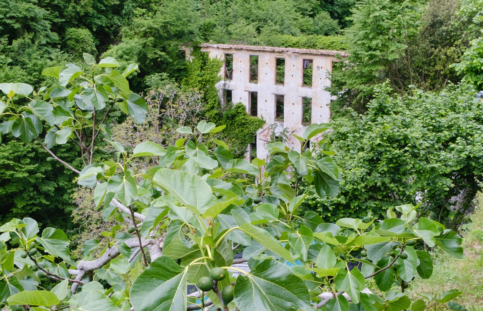 Vallone dei Mulini, Sorrento, Italy