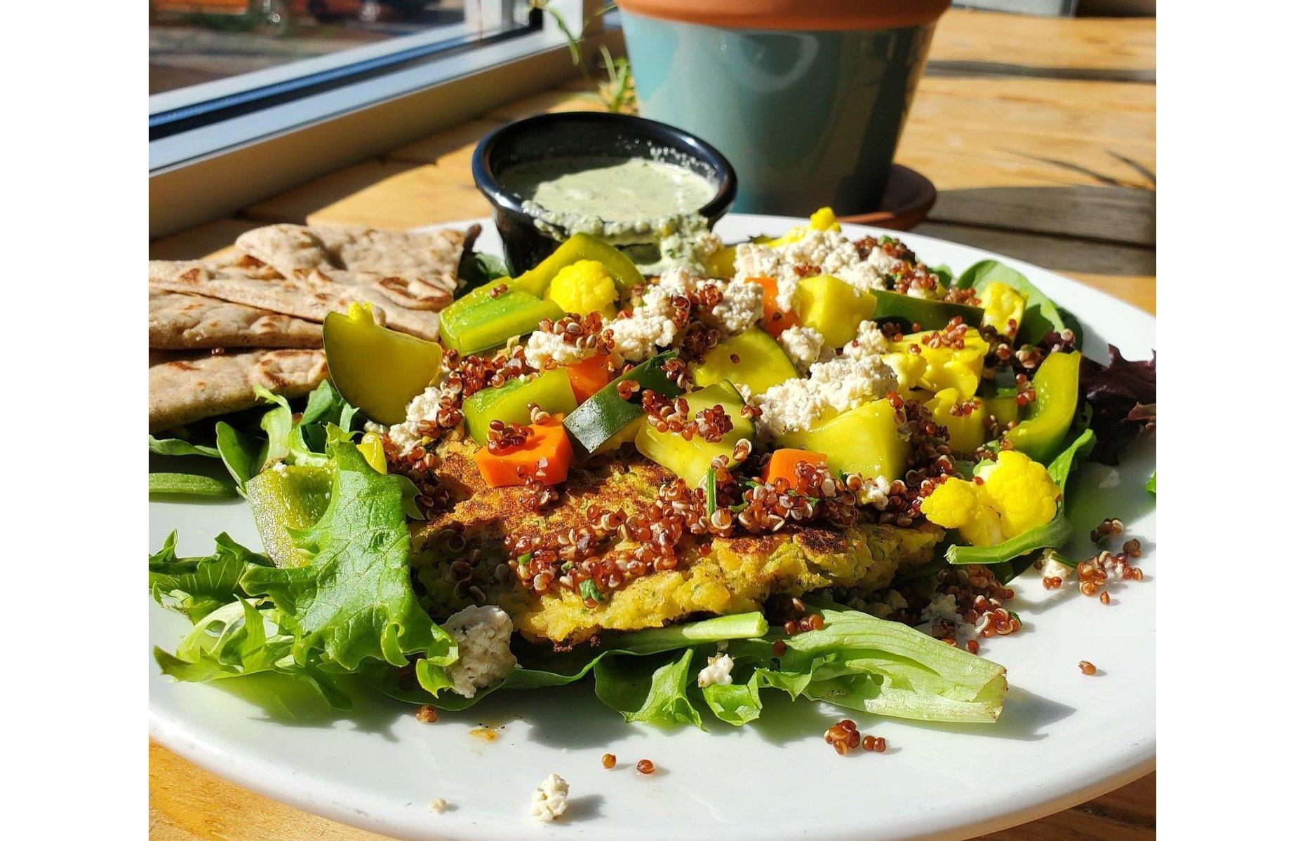 The Wild Cow, Nashville, Tennessee 