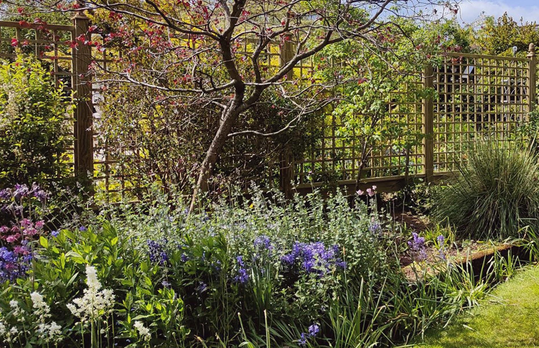 Keep a wild patch