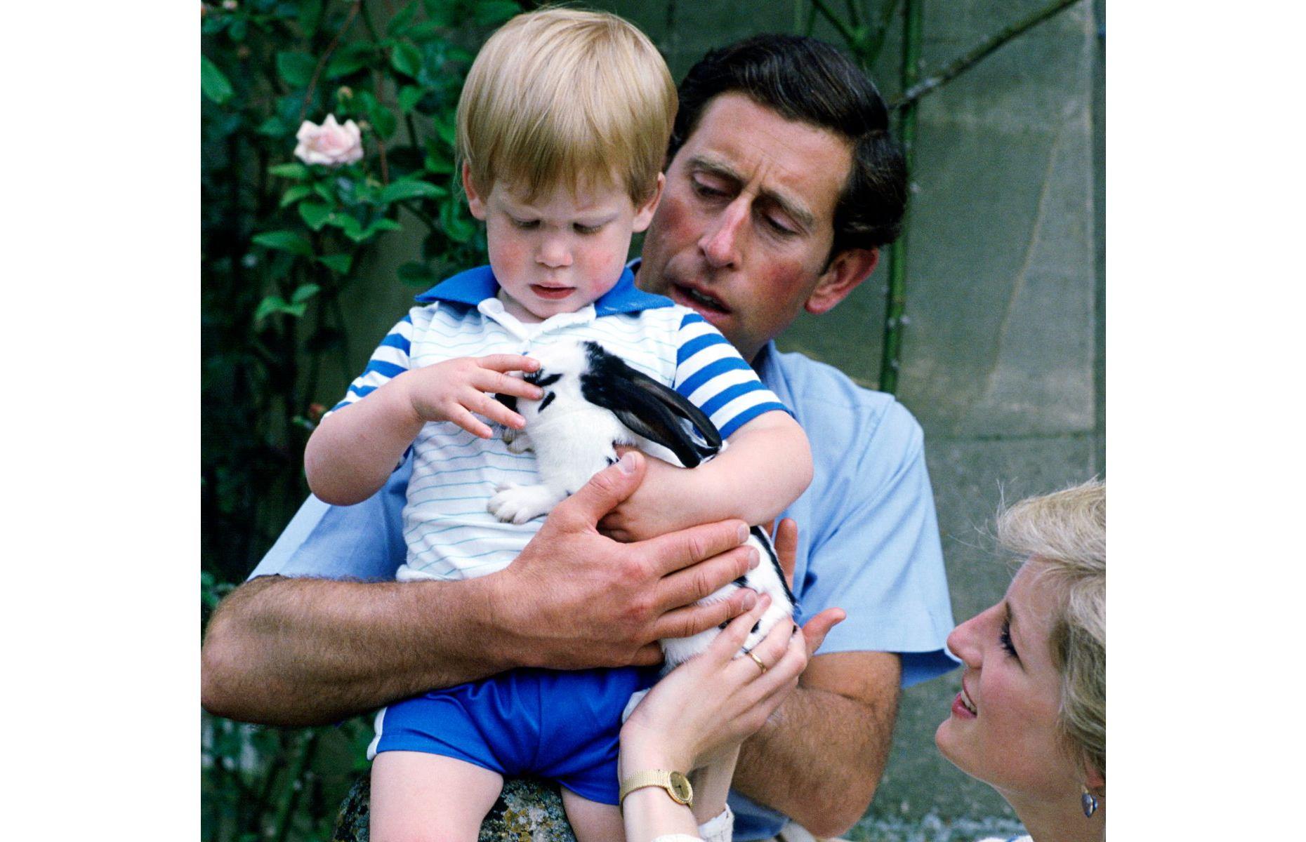 Prince Harry's pets