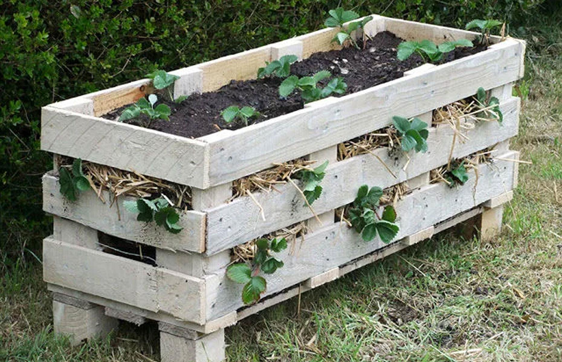 Start with a vegetable planter