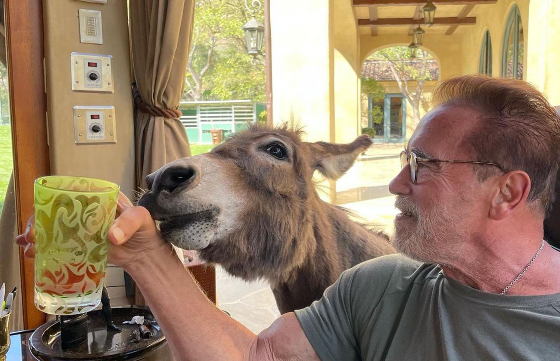 Bilder aus Arnies Häusern