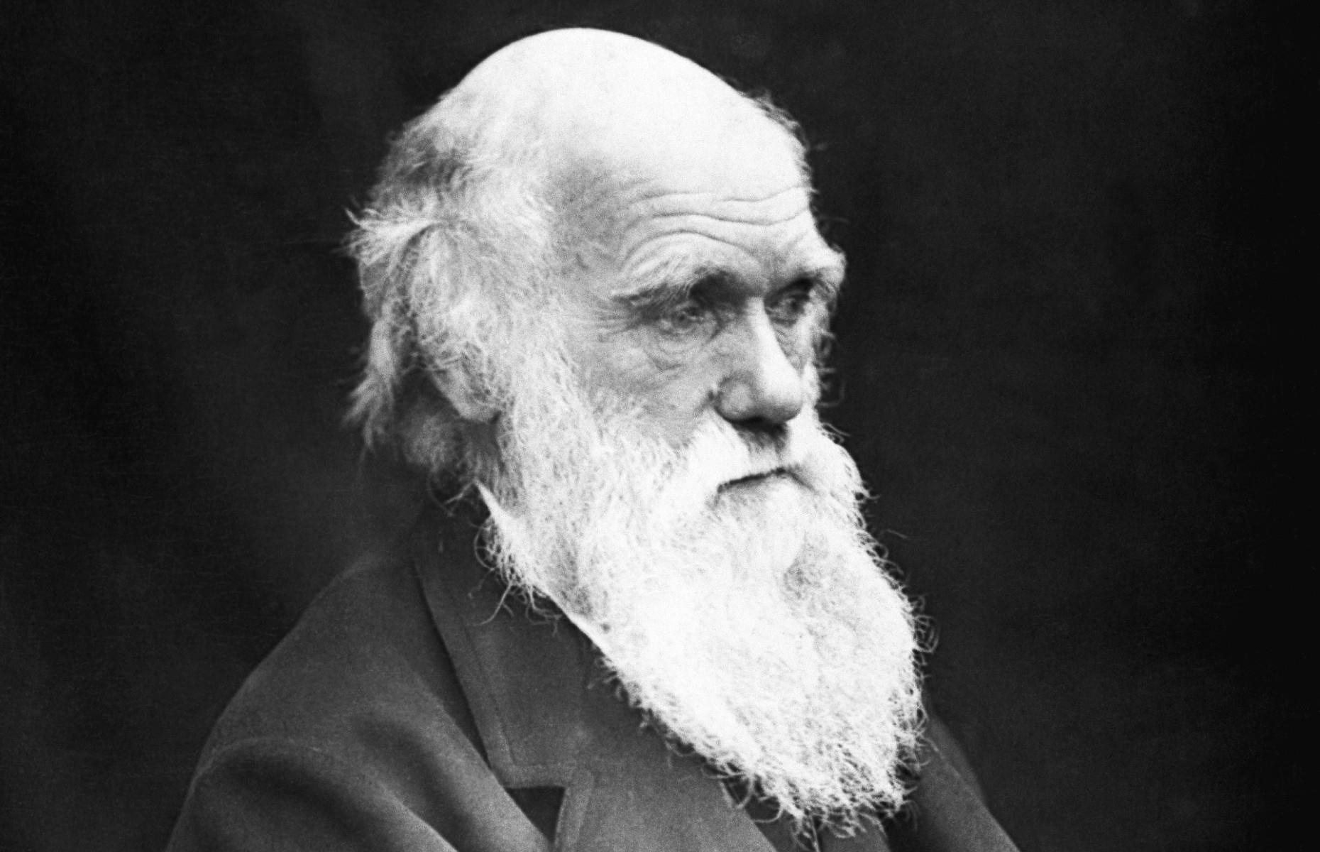 Charles Darwin's missing notebooks