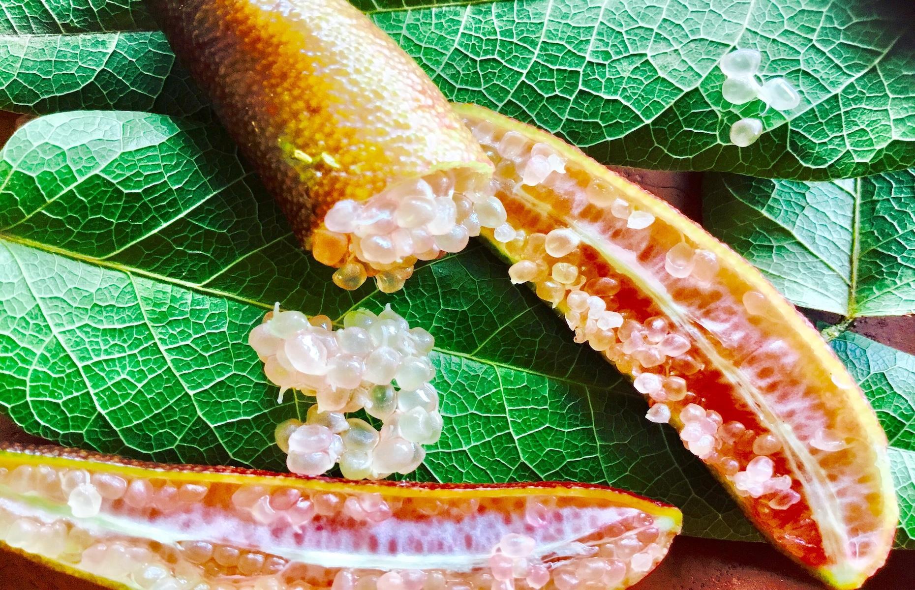 13. Bush tucker