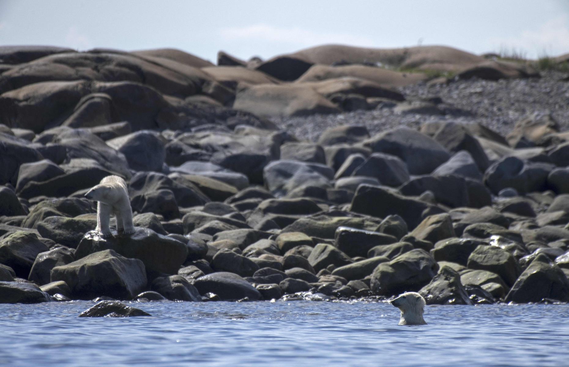 Hudson Bay