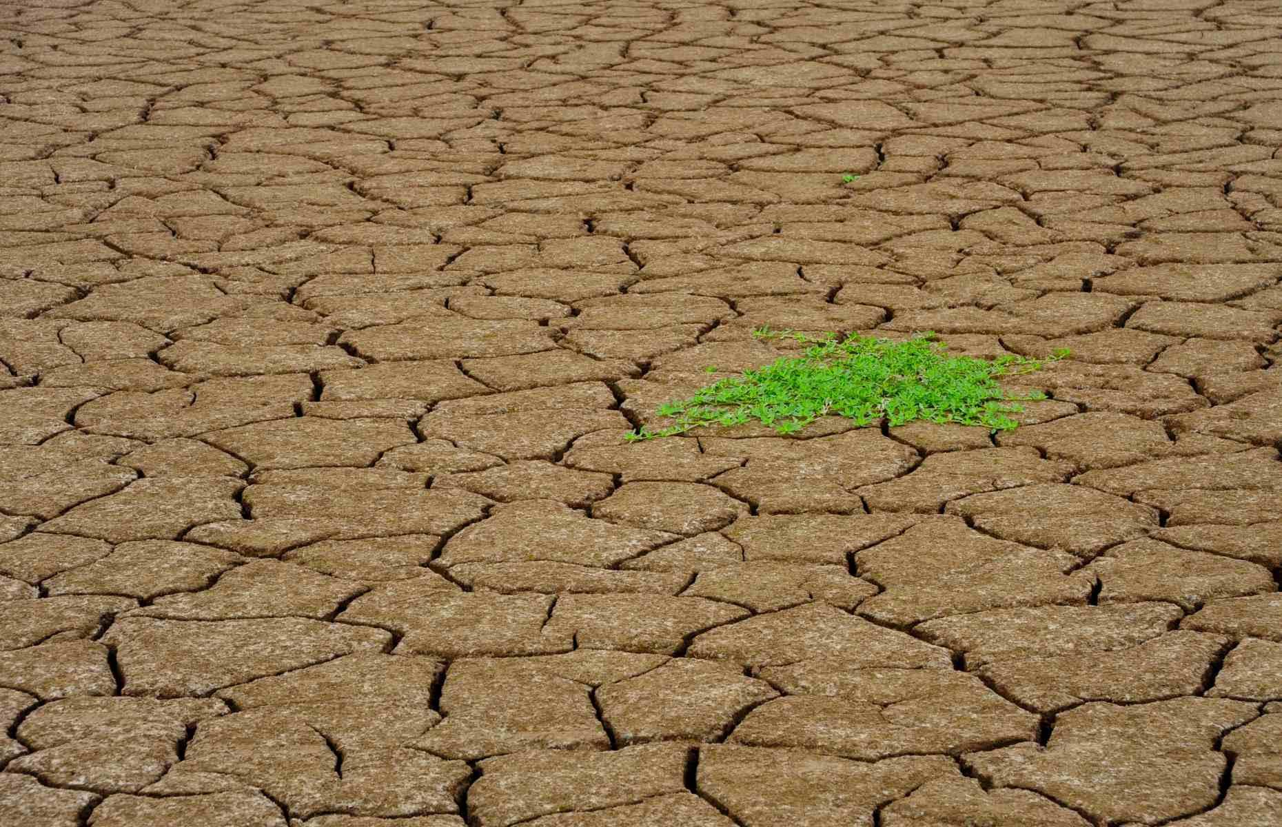 August: Heatwave, China