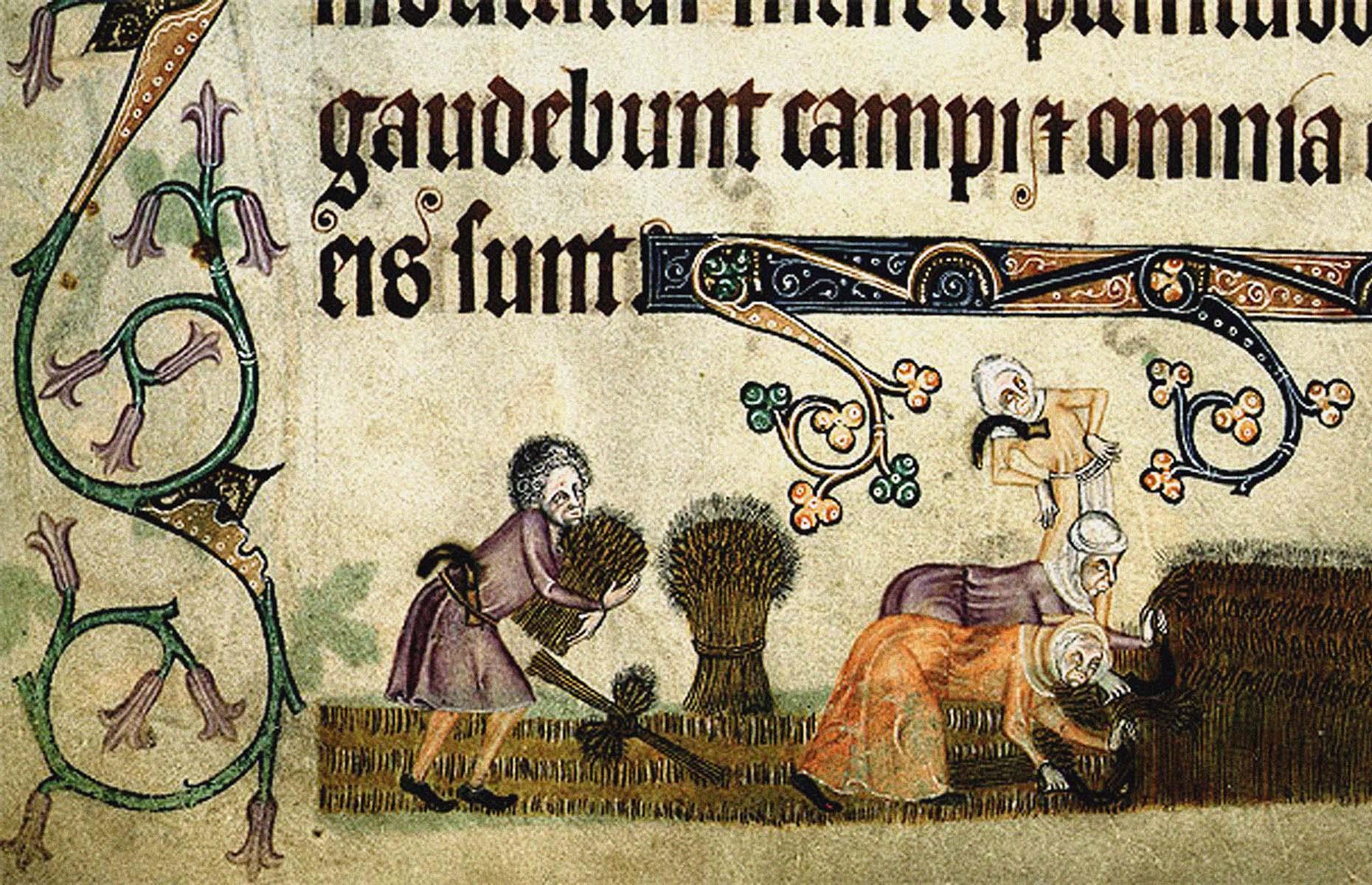 Medieval peasants were smelly and dirty