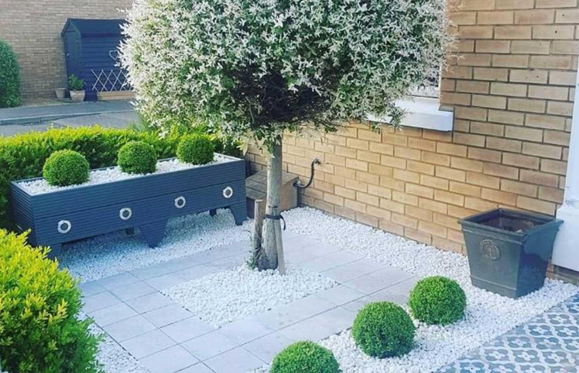 Plant a tree
